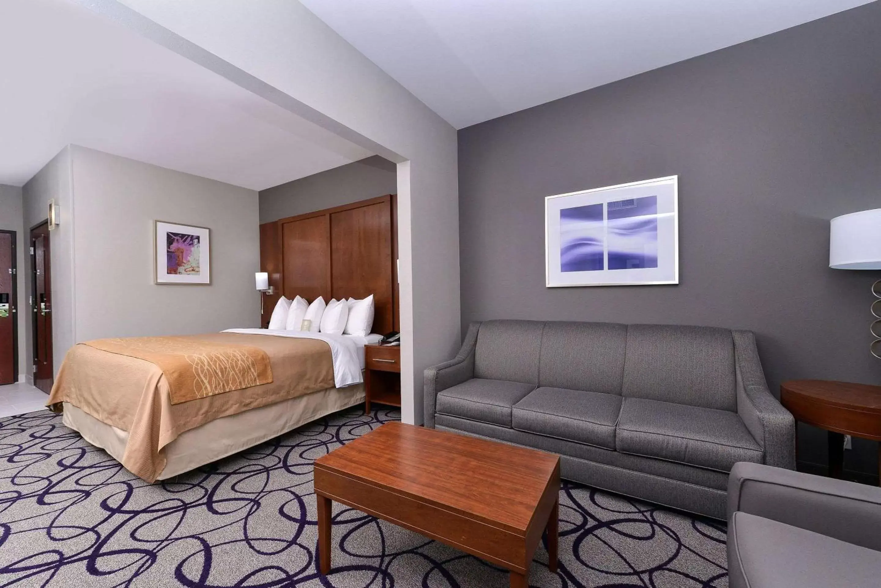 Photo of the whole room in Comfort Inn & Suites Frisco