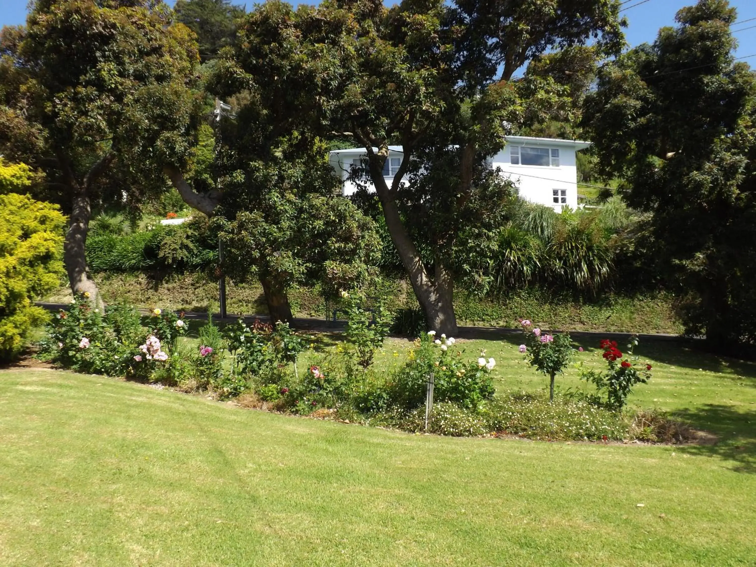 Garden in Hikurangi StayPlace
