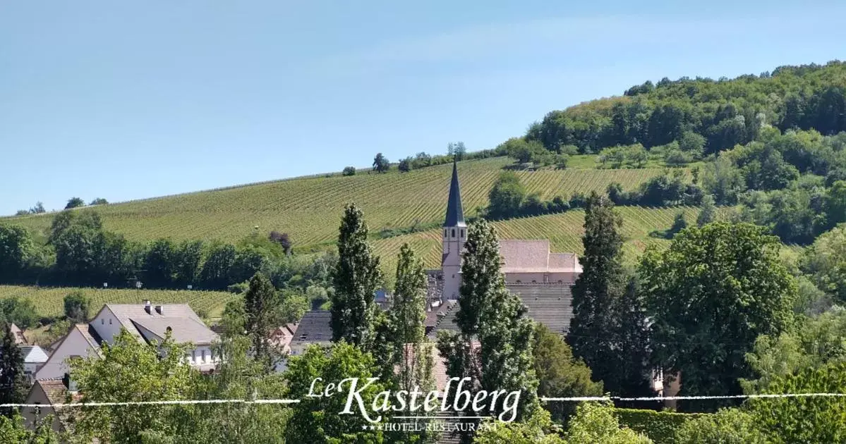 Natural landscape in Hôtel Restaurant Le Kastelberg, The Originals Boutique