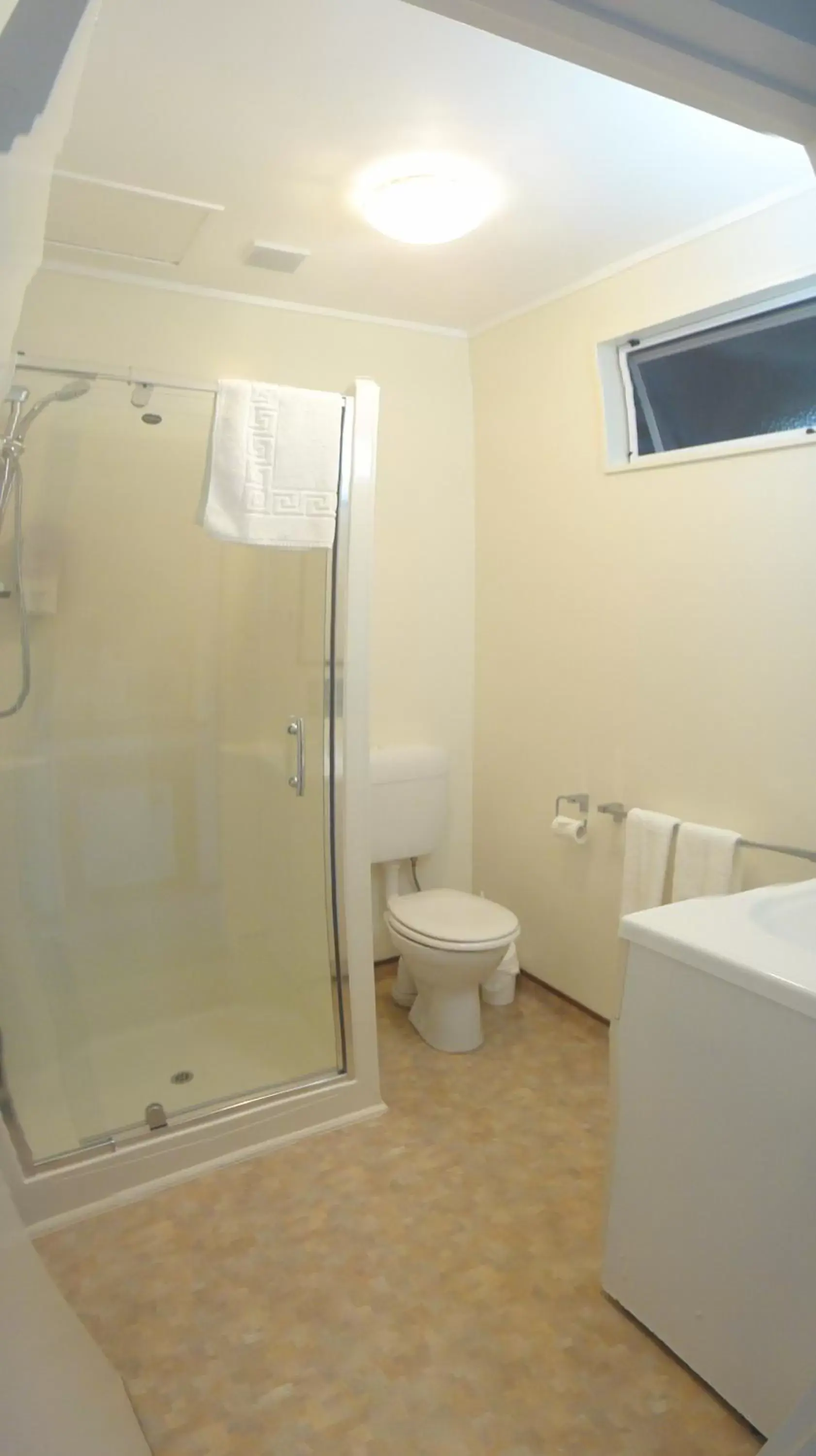 Shower, Bathroom in Woodlands Motel