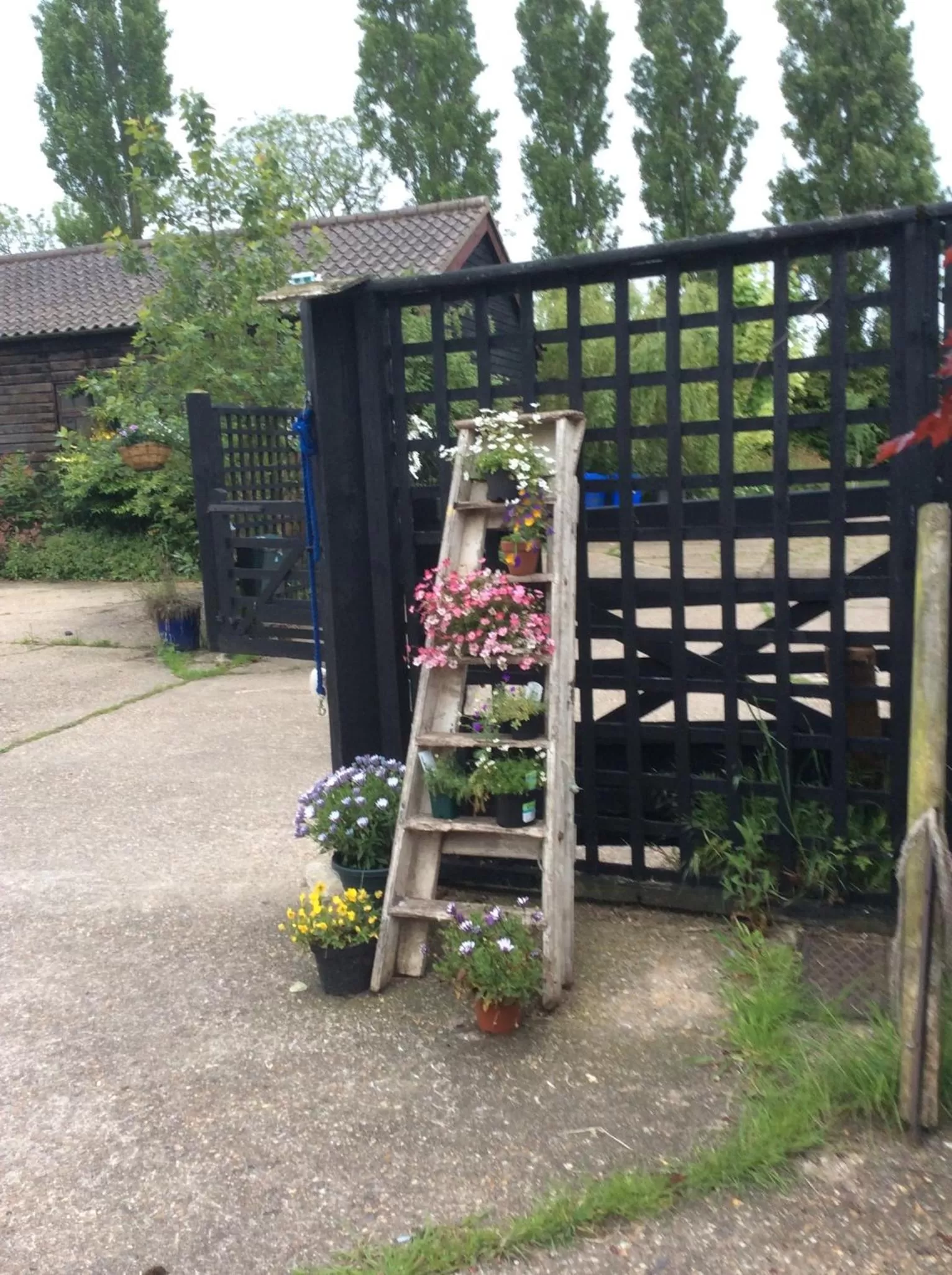 Children's Play Area in Valley Farmhouse B&B