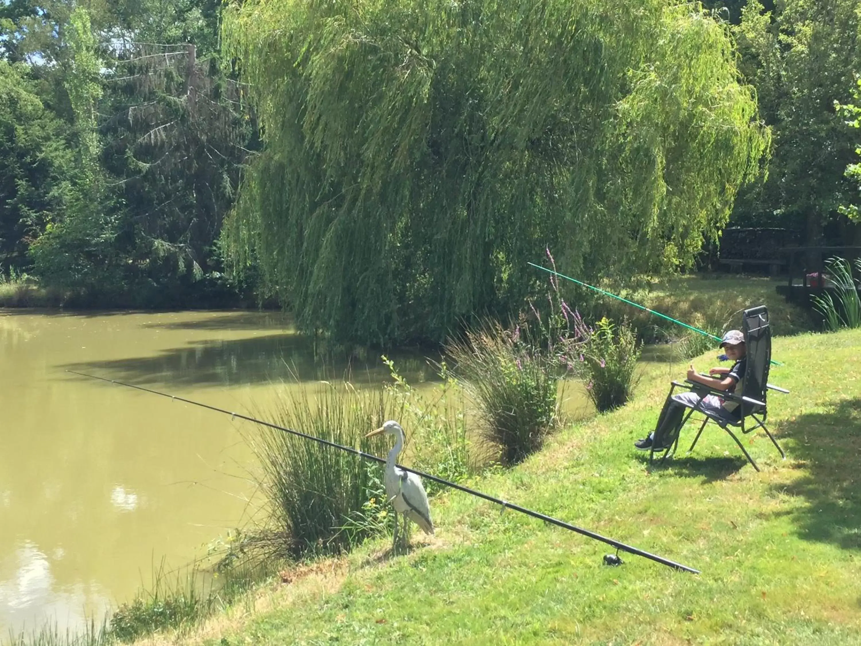 Lake view in Ferme Boisquillon