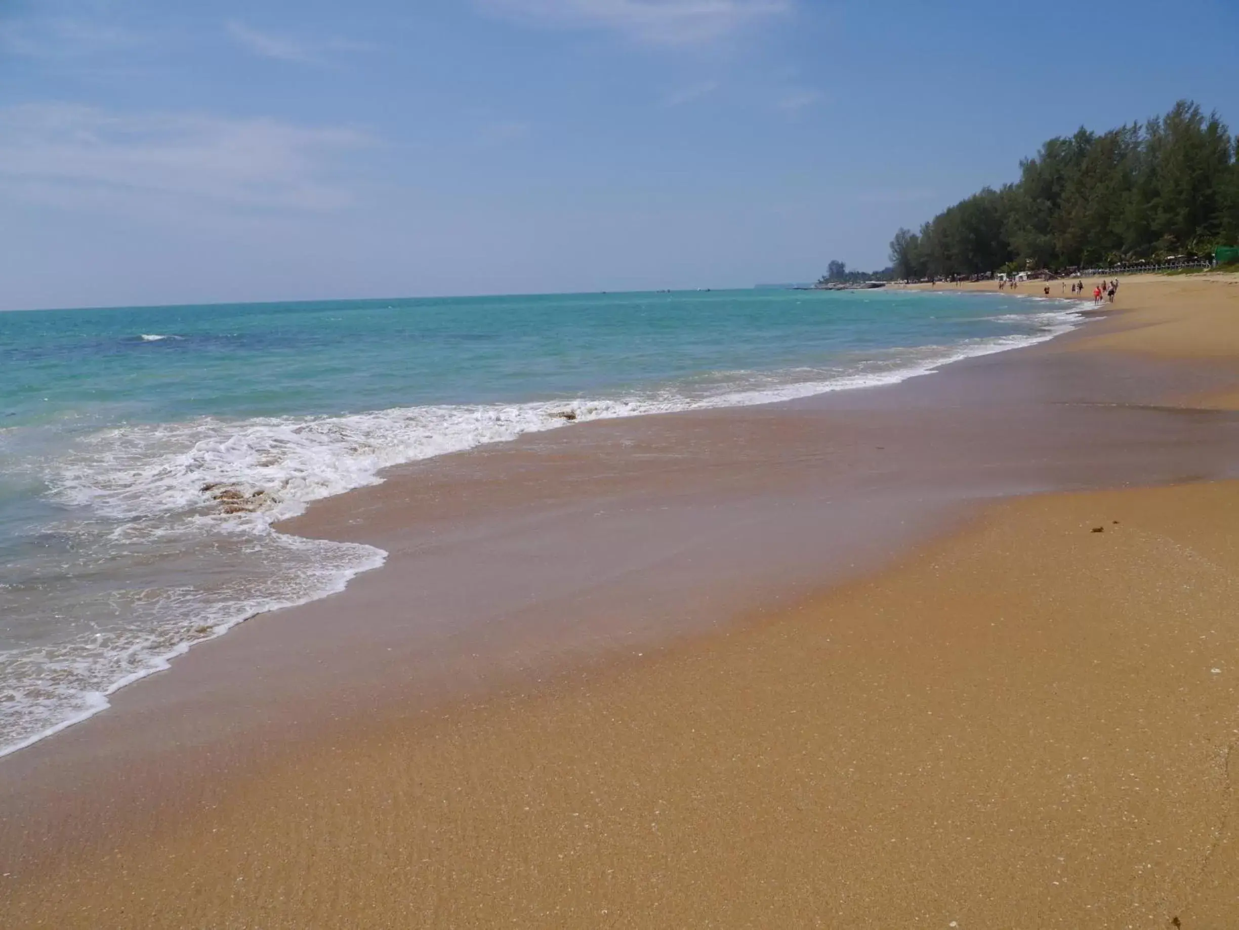 Area and facilities, Natural Landscape in The Waters Khao Lak by Katathani - SHA Extra Plus