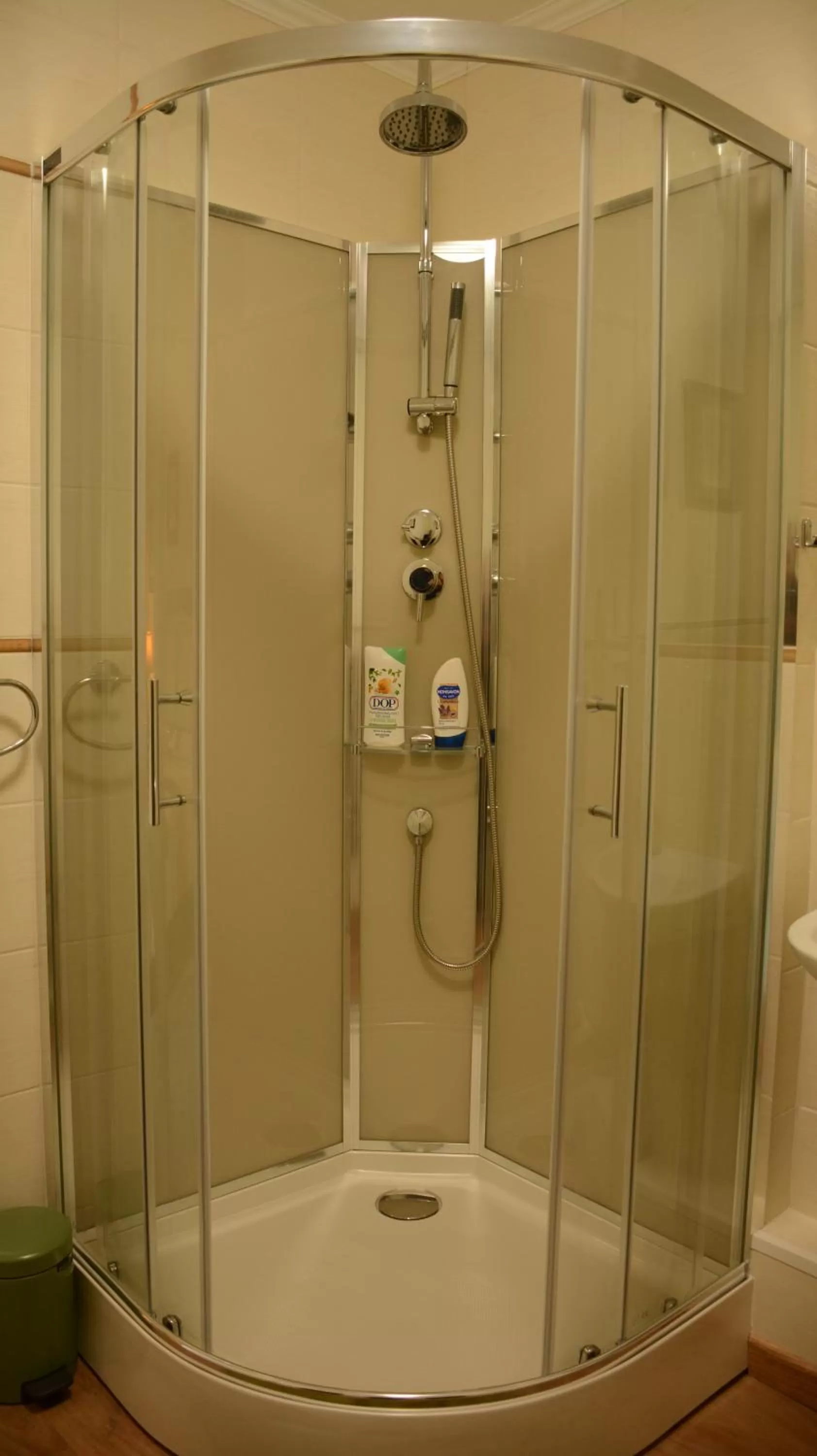 Shower in Les noyers aulnay