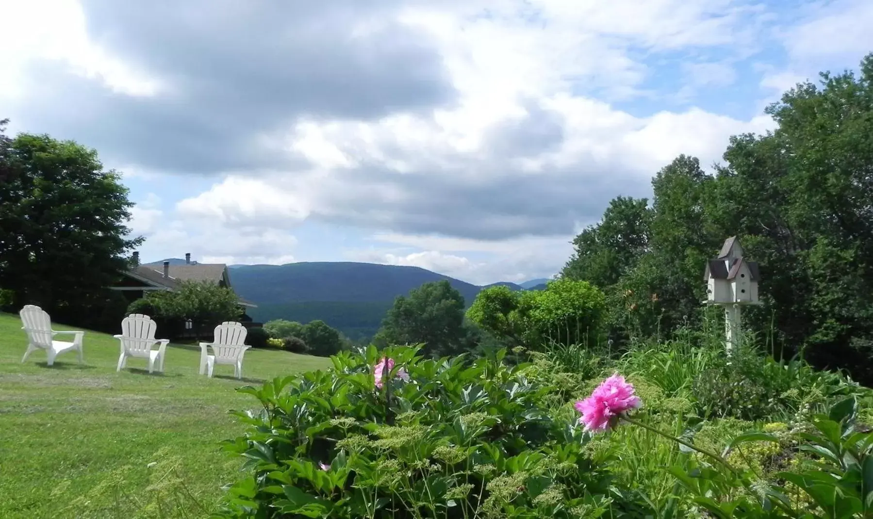 Garden view in Manchester View