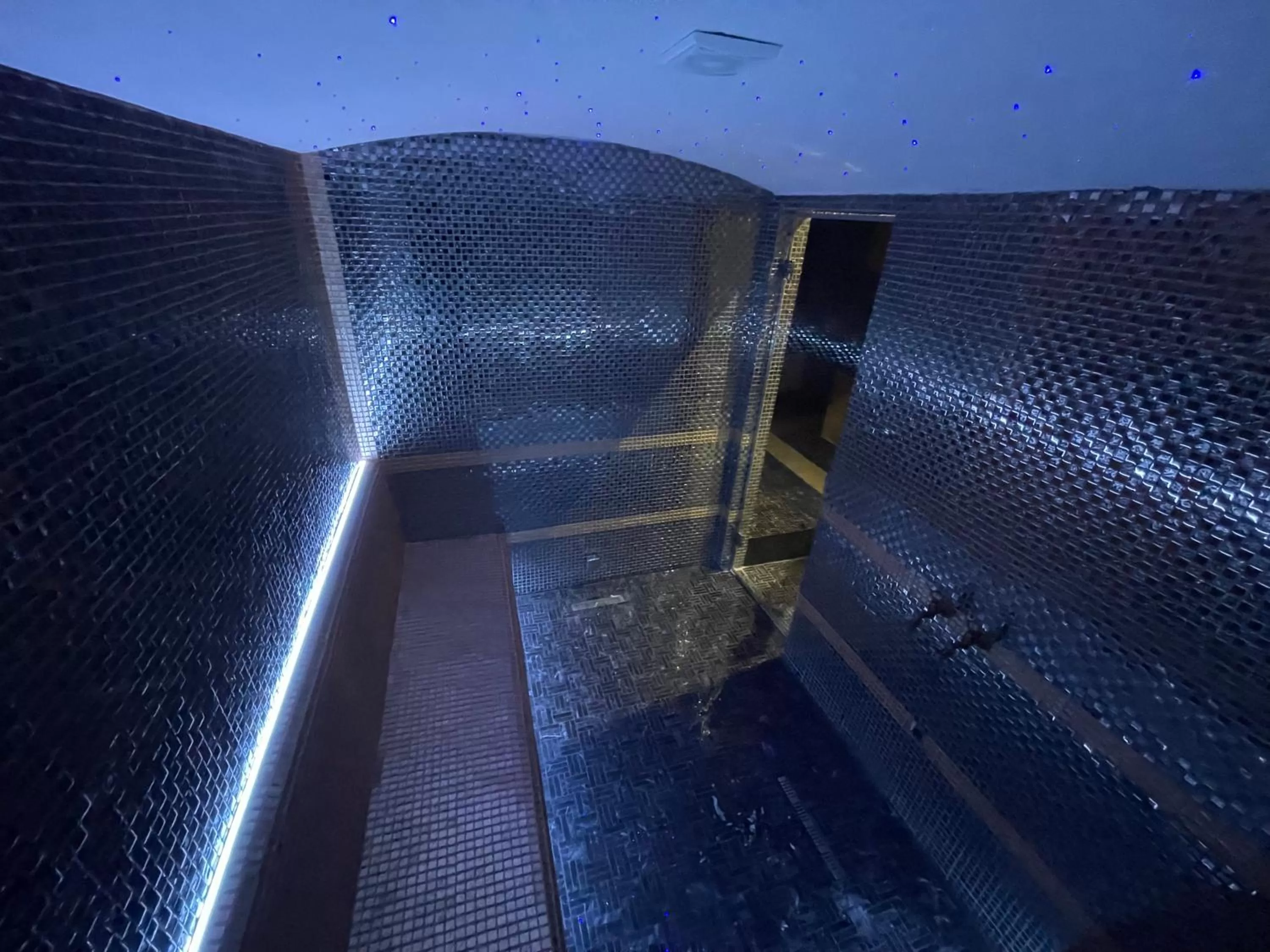 Spa and wellness centre/facilities in Deluxe Resort and SPA