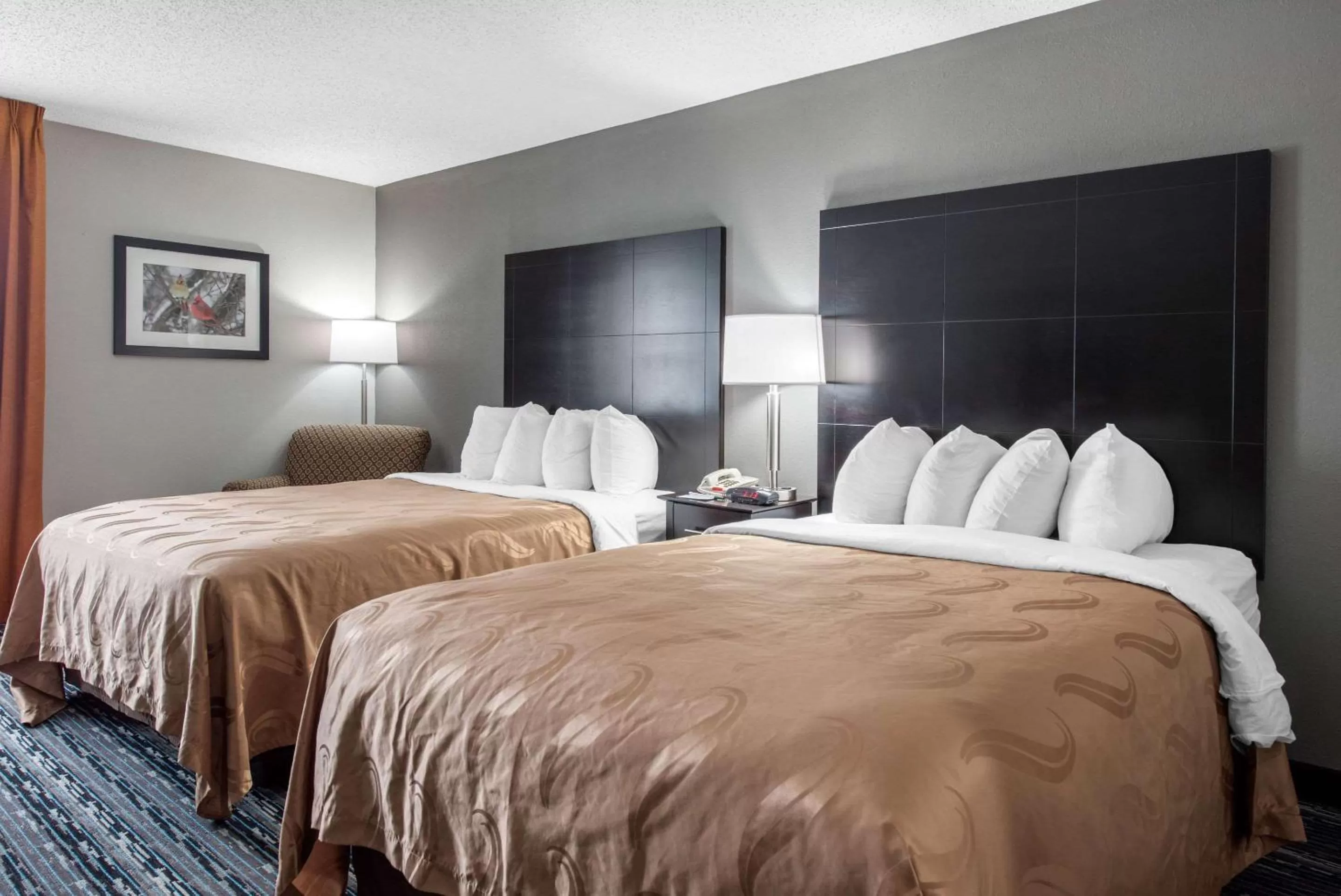 Photo of the whole room, Bed in Quality Inn & Suites Brownsburg - Indianapolis West