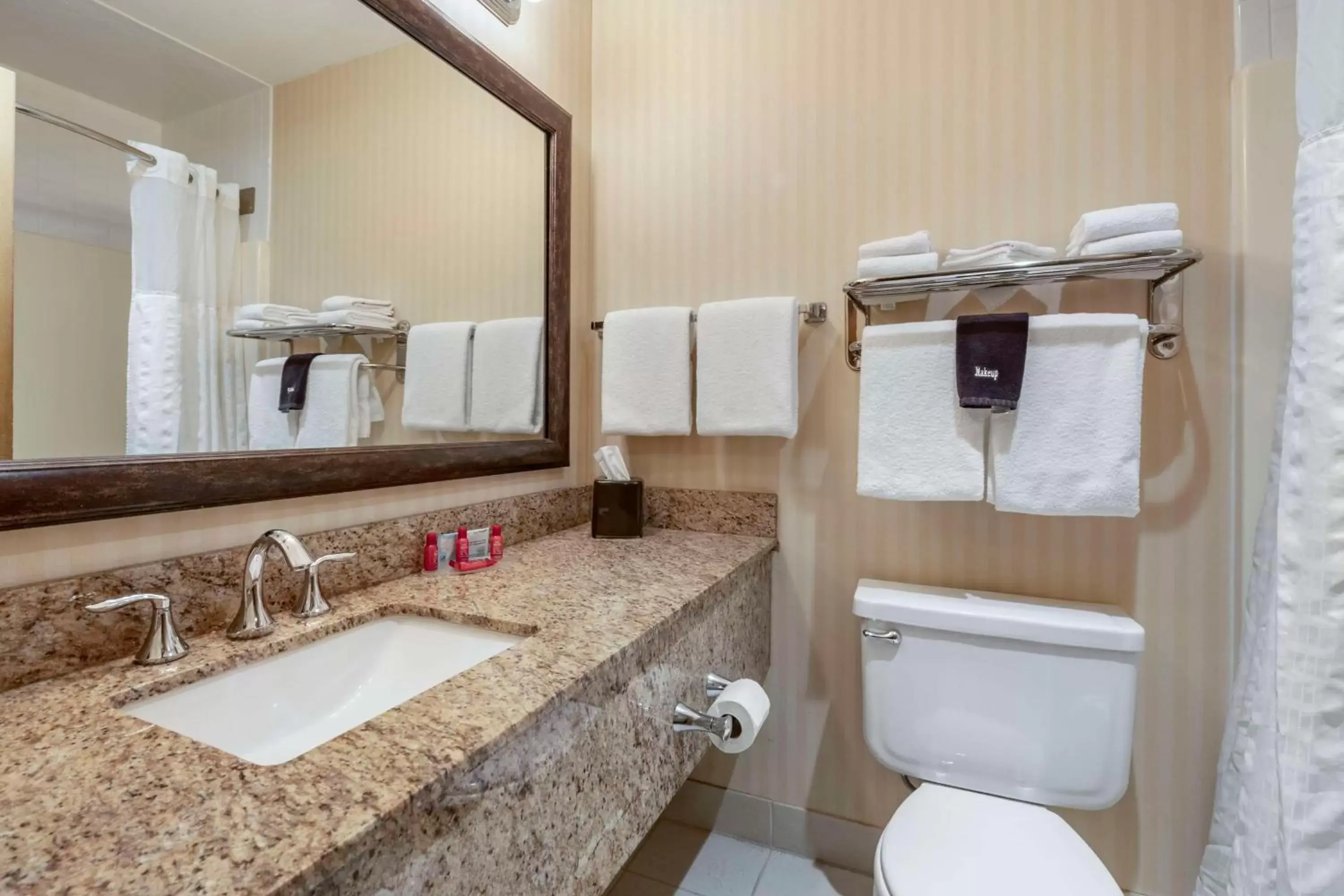 Bathroom in SureStay Plus Hotel by Best Western Buffalo