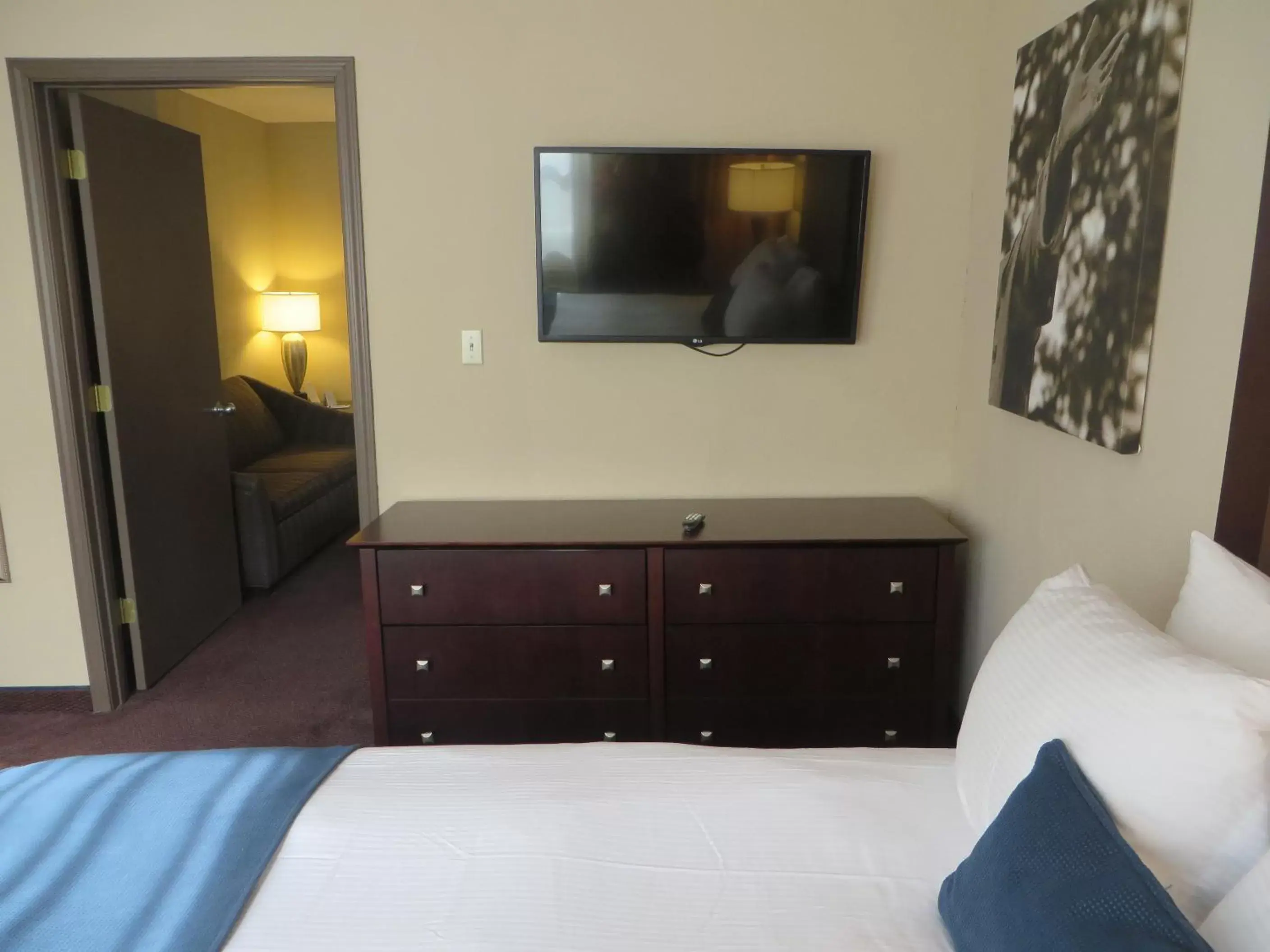 Double Room in Ivy Court Inn and Suites