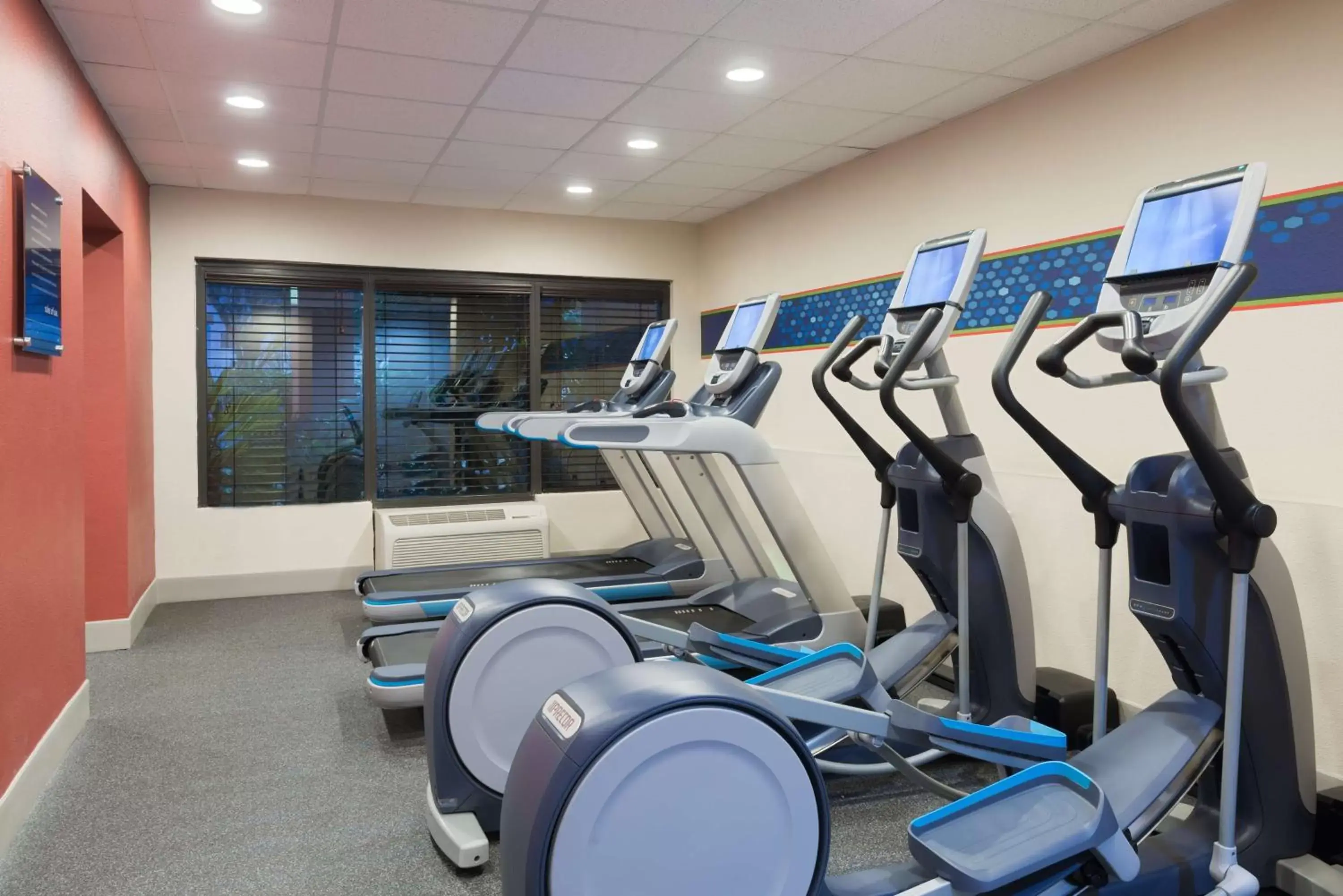 Fitness centre/facilities, Fitness Center/Facilities in Hampton Inn Ellenton/Bradenton