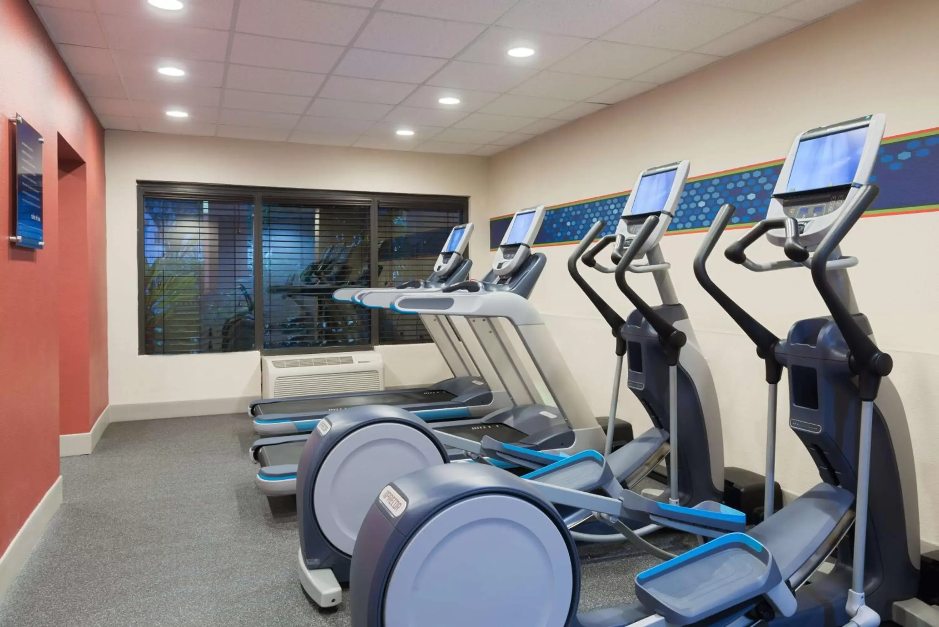 Fitness centre/facilities in Hampton Inn Ellenton/Bradenton Fitness centre/facilities in Hampton Inn Ellenton/Bradenton