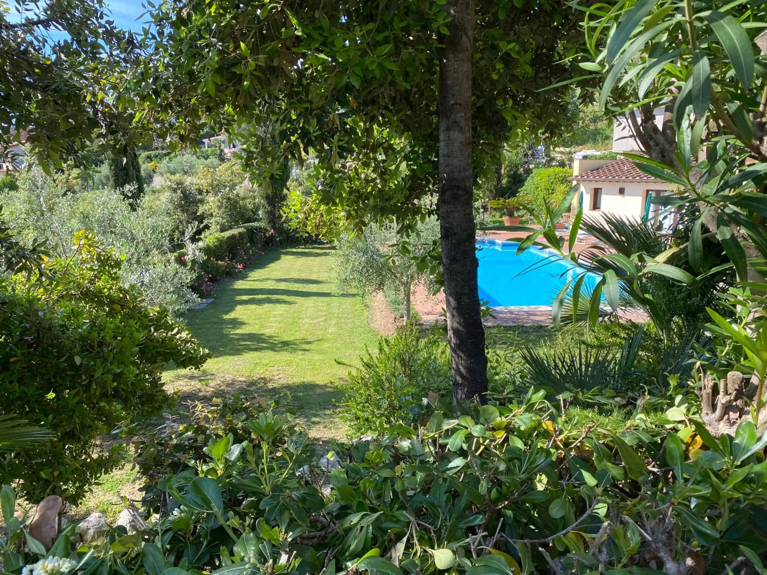 Garden, Pool View in Belvedere Residenza Mediterranea