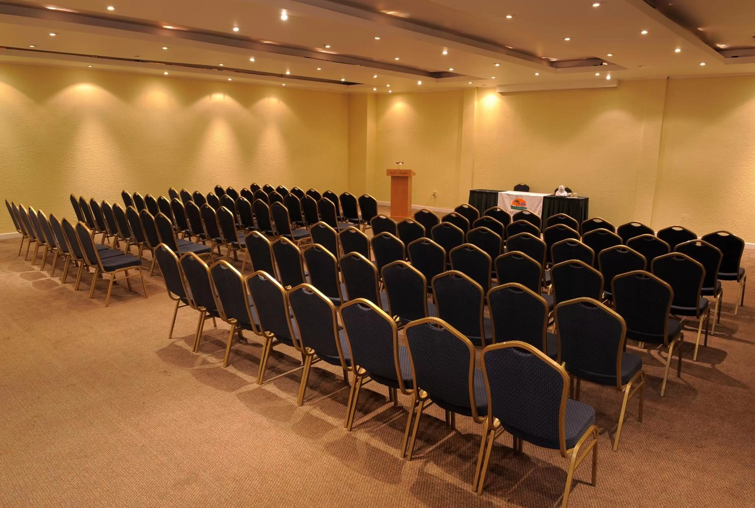 Business facilities in Hotel El Araucano