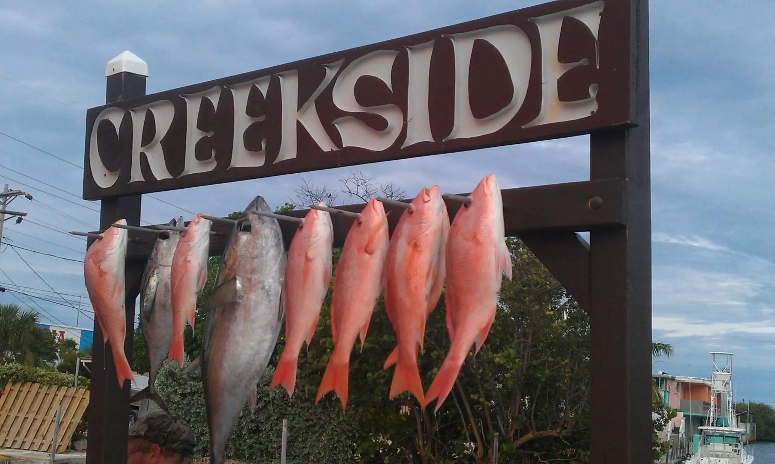 Fishing in Creekside Inn Islamorada