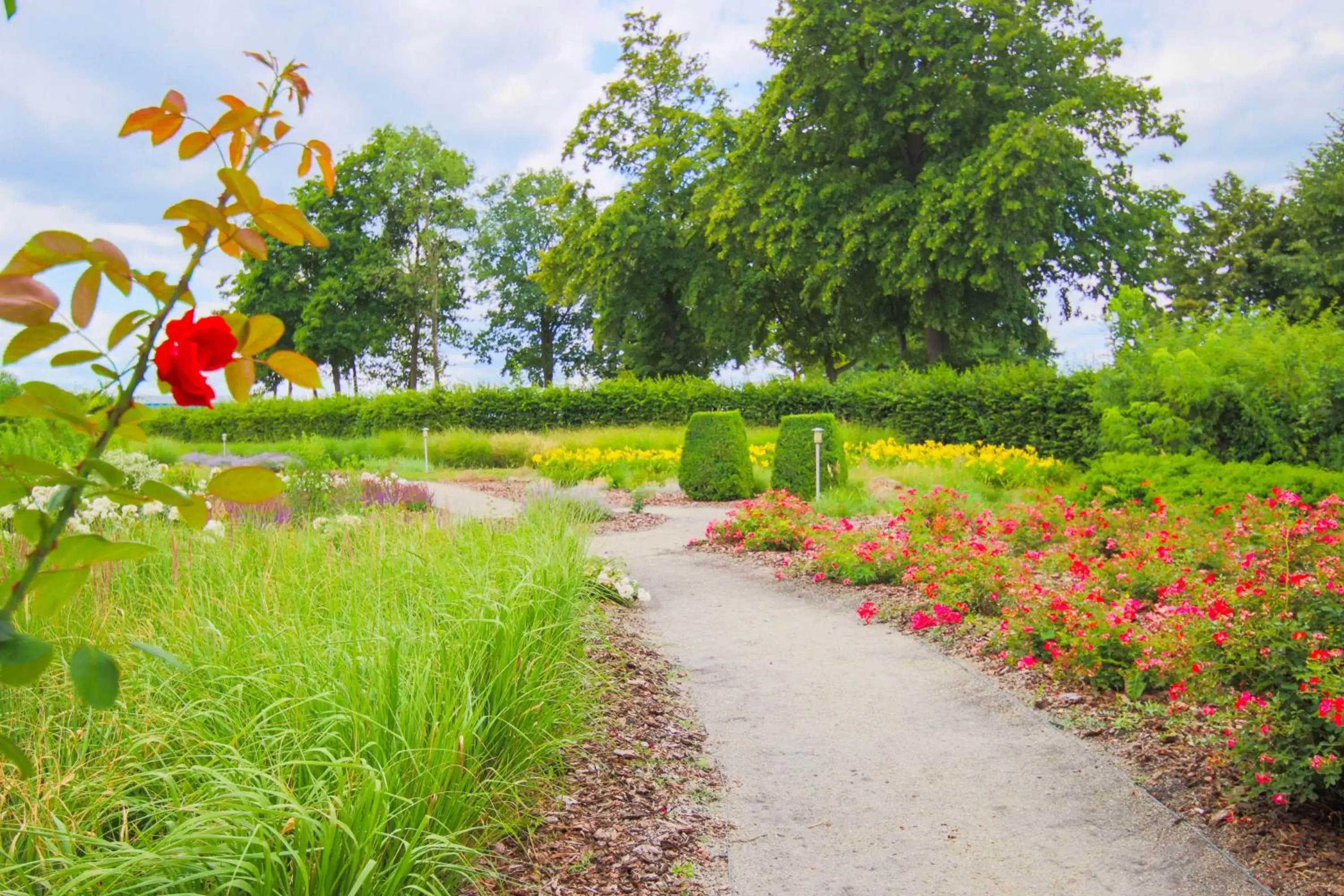 Garden in SeeHotel Großräschen