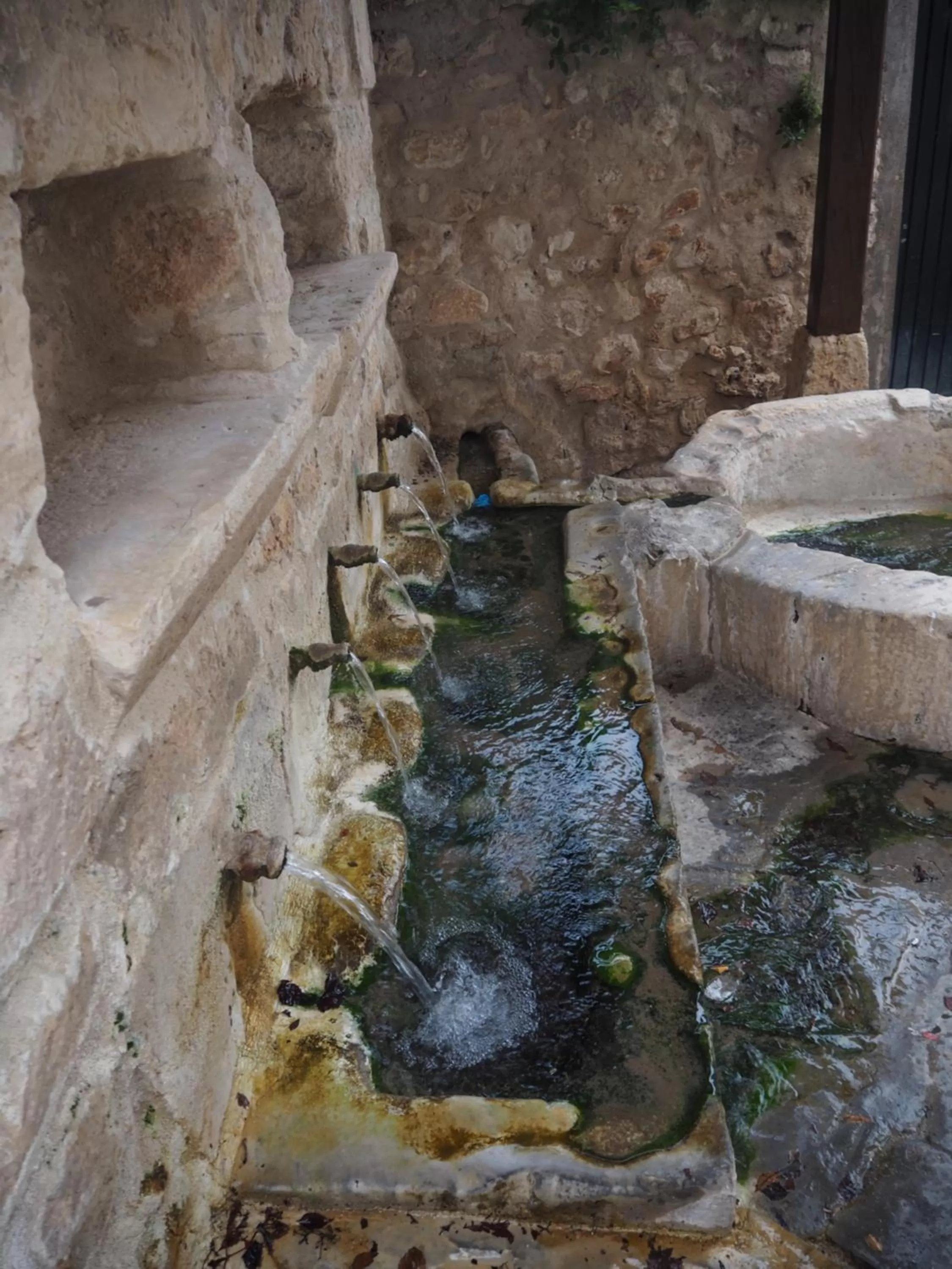 Activities in La Fuensanta Hostal-Rural