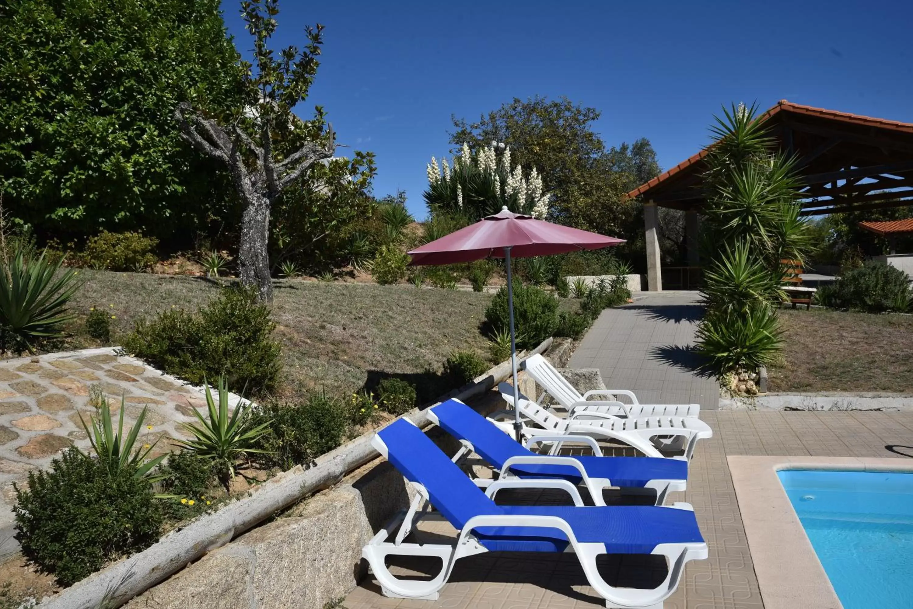 Swimming Pool in Quinta da Seixeda