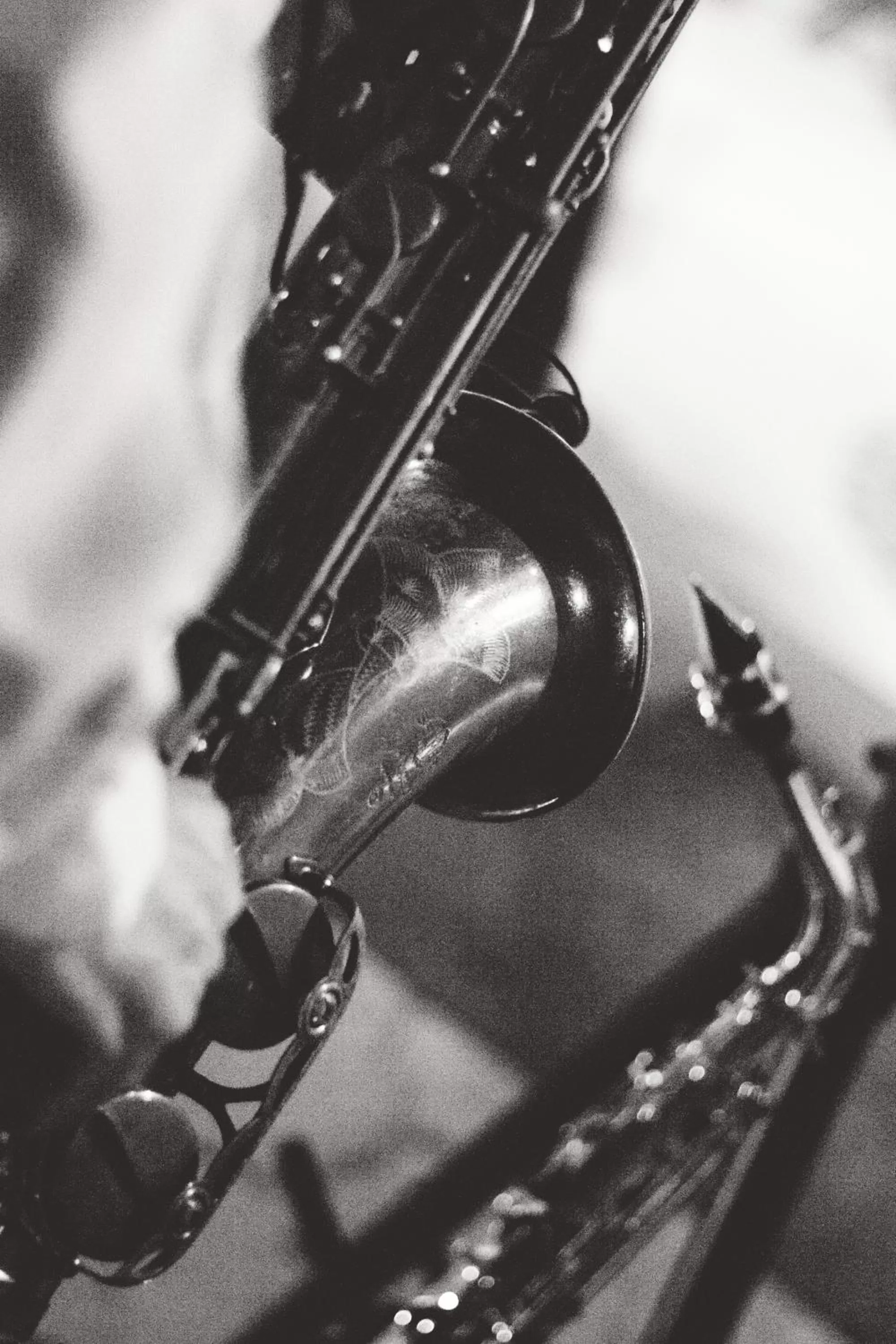 Entertainment in Cocos Cabañas Playa del Carmen Adults Only