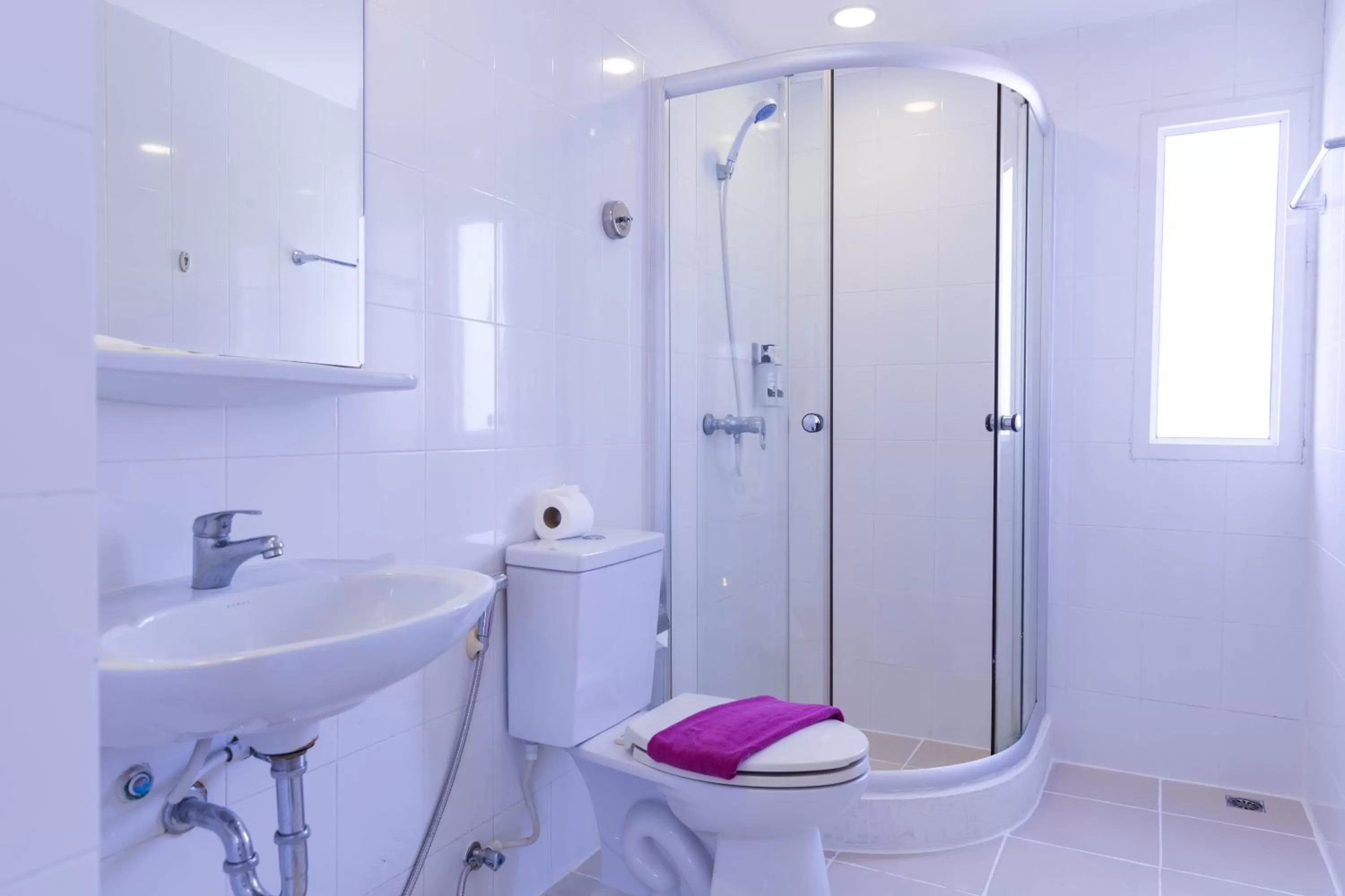 Shower in Hotel Zing