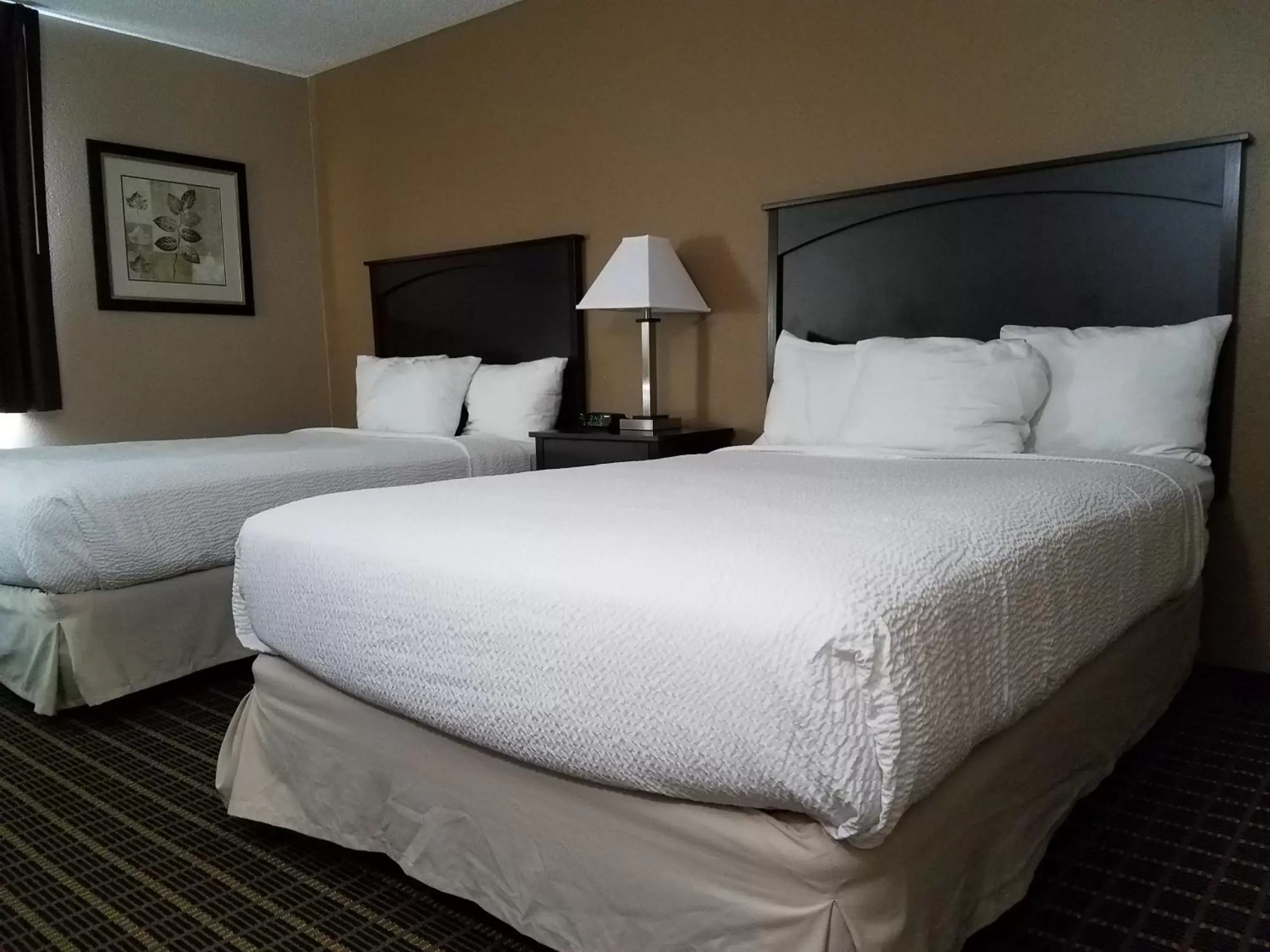 Bed in Americas Best Value Inn and Suites Bismarck