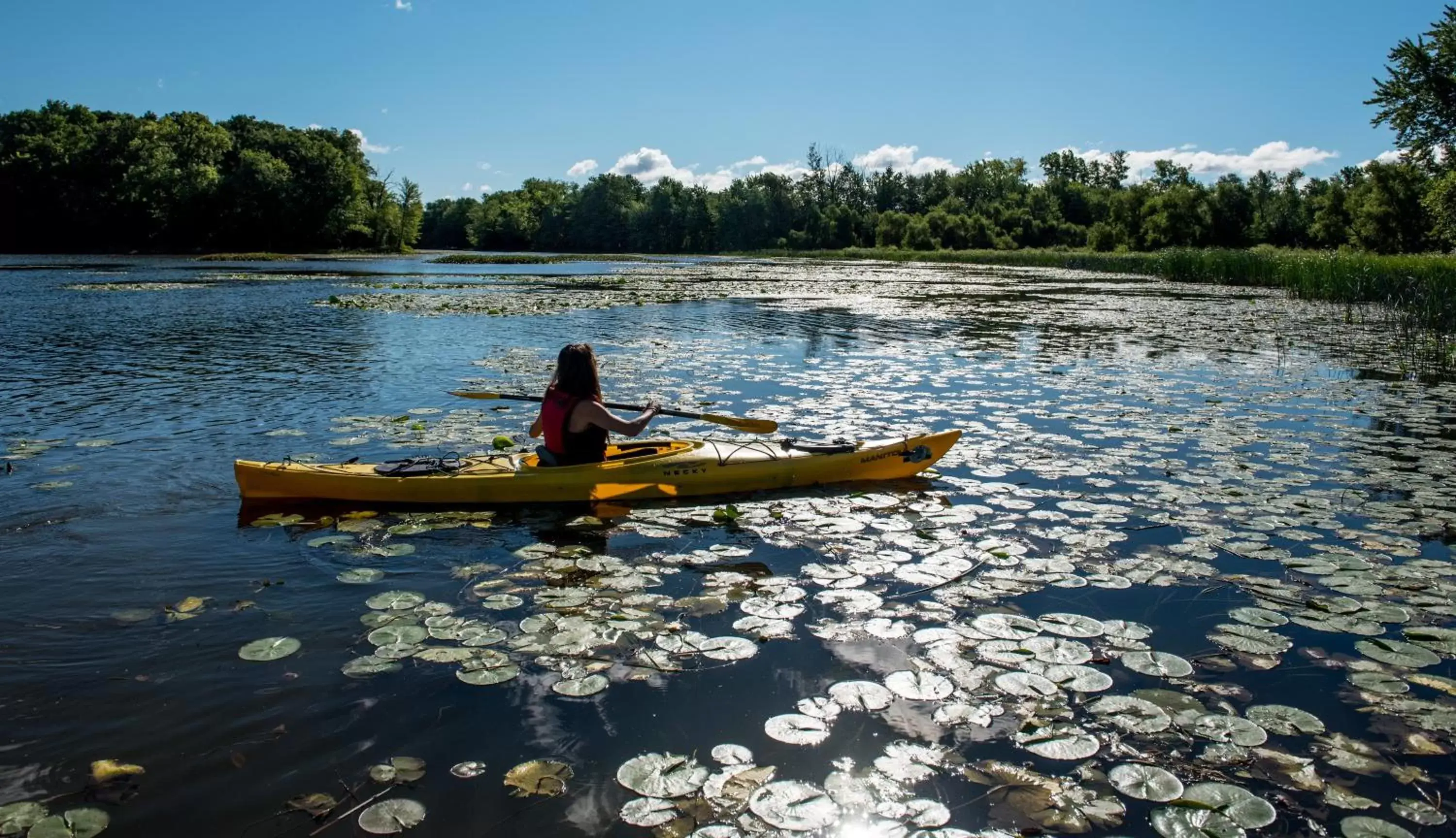 Nearby landmark, Canoeing in Holiday Inn Laval Montreal, an IHG Hotel