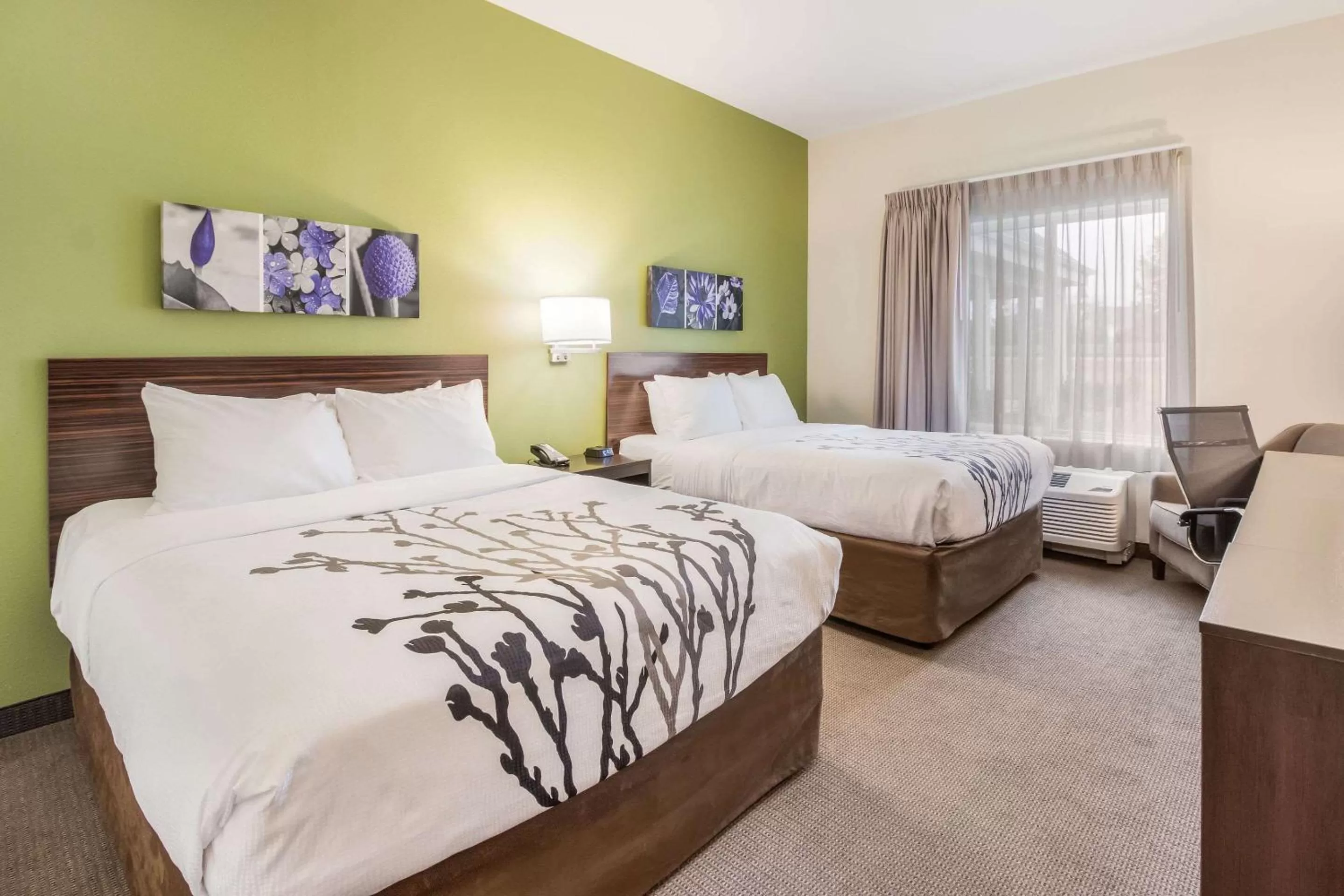 Photo of the whole room, Bed in Sleep Inn