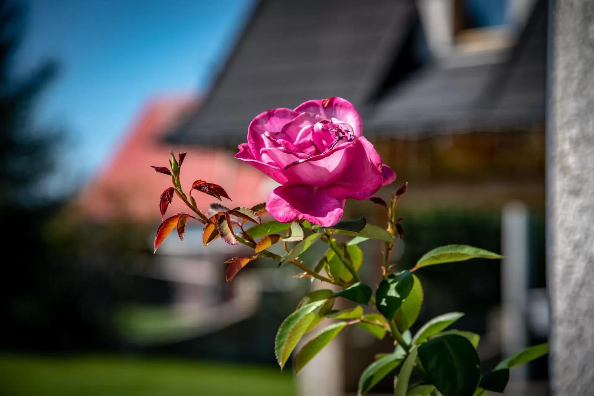 Decorative detail in Podhalanski Dworek z Jacuzzi