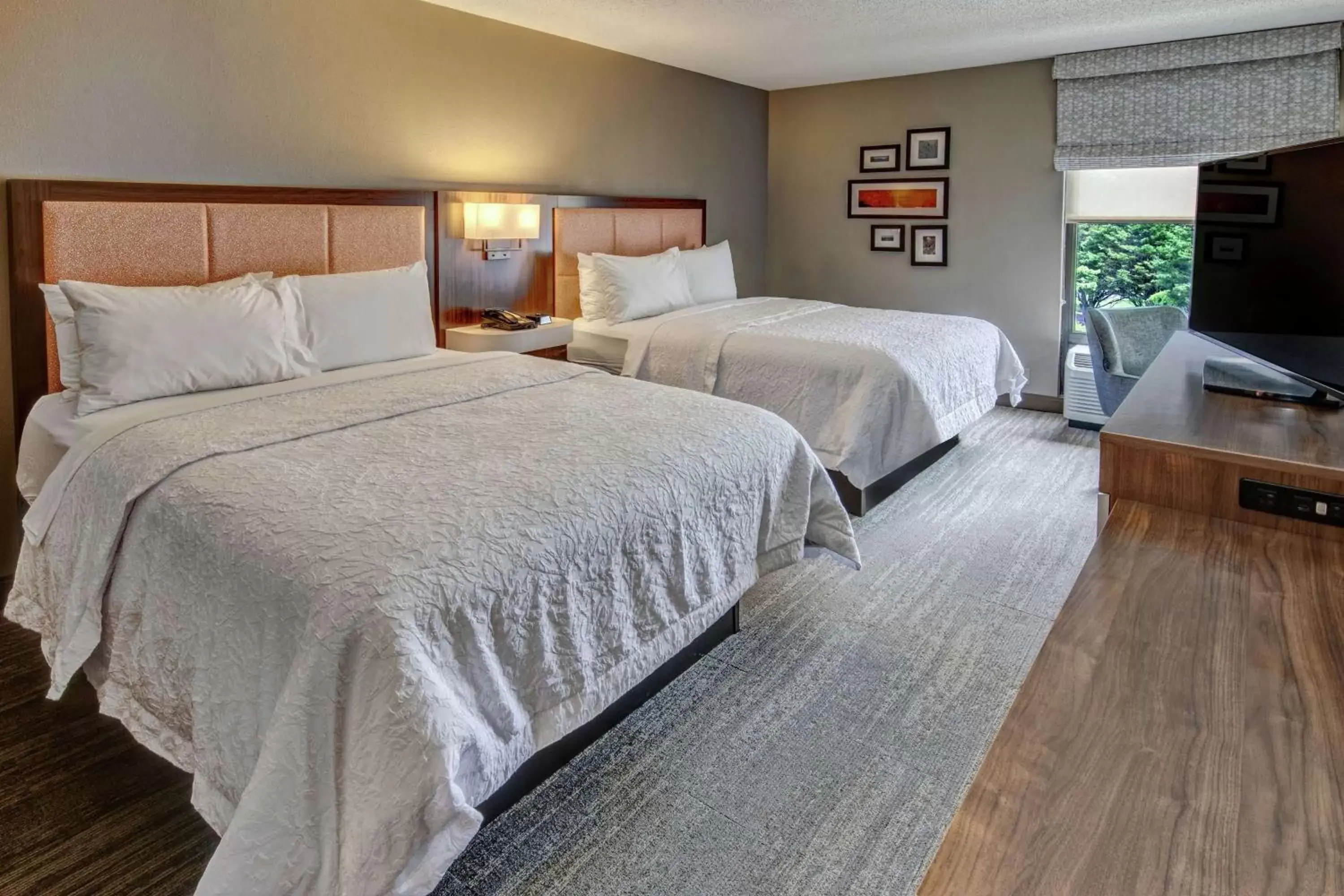 Bedroom, Bed in Hampton Inn Elizabeth City