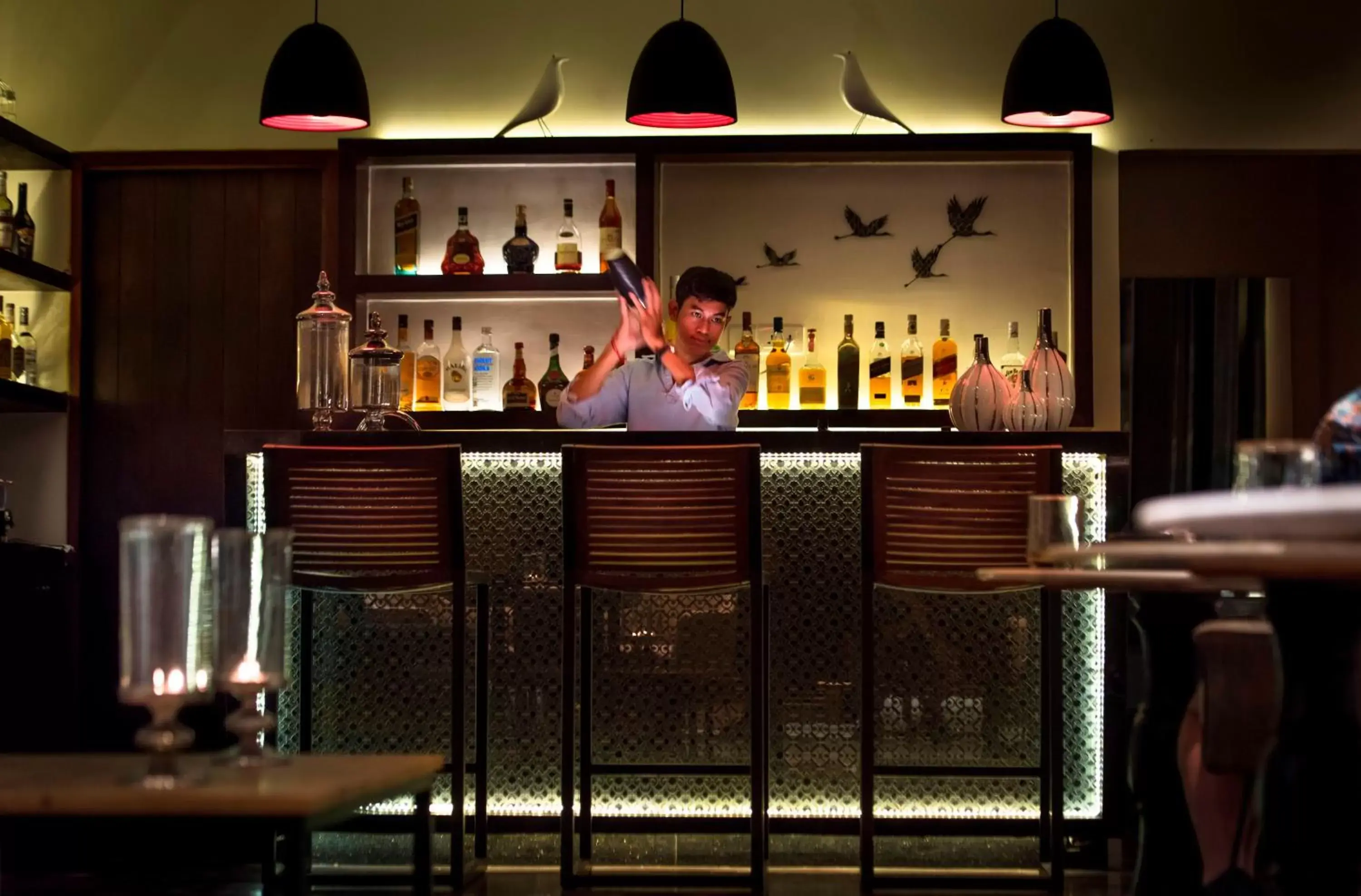 Lounge or bar in The Aviary Hotel