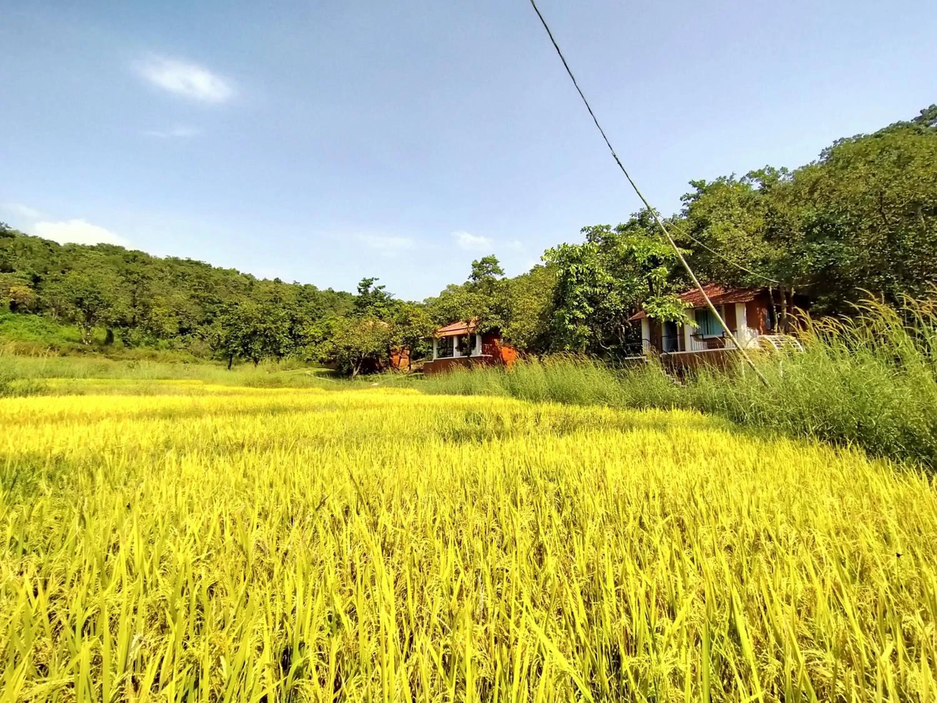 Natural landscape in Porsu