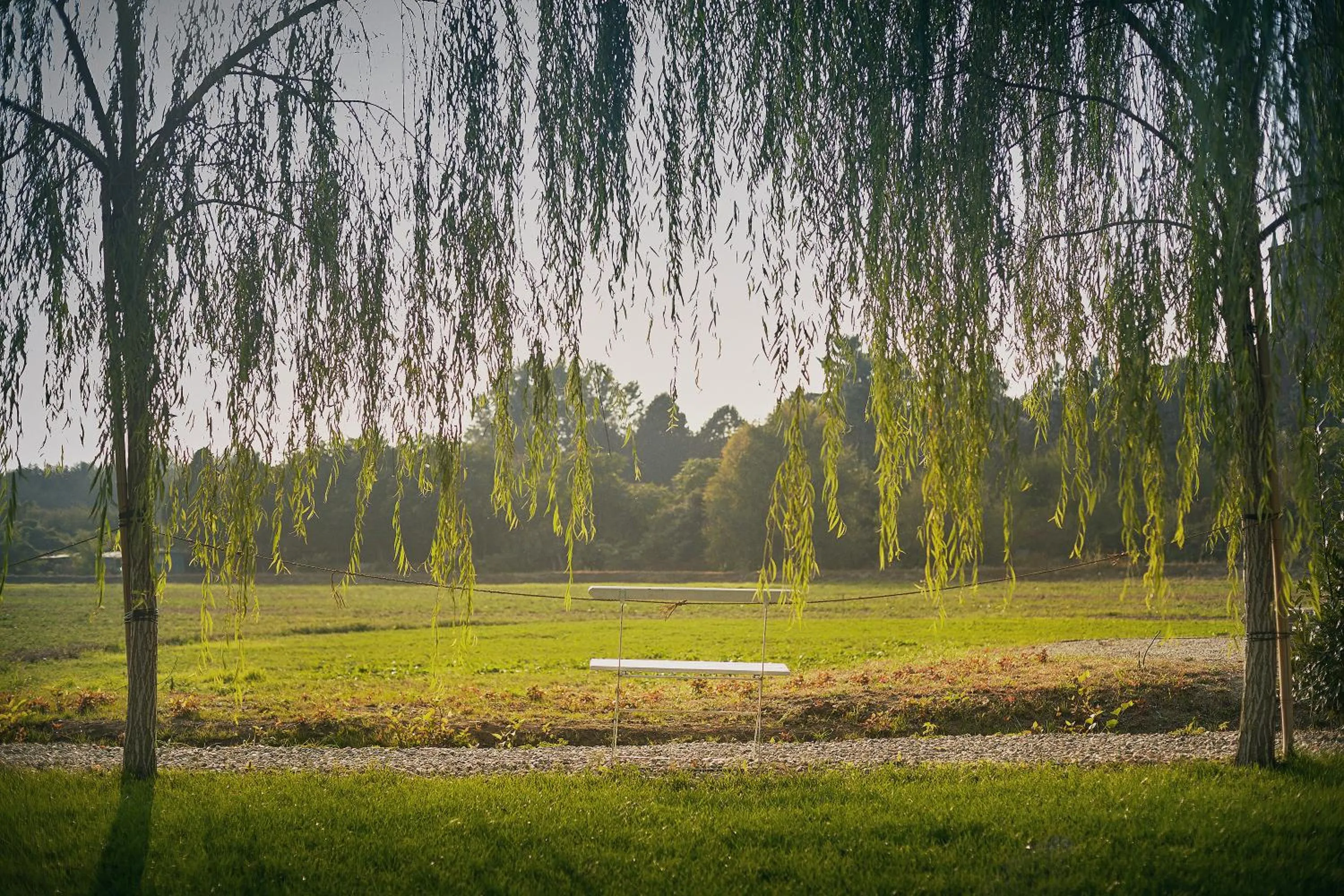 Day in Boutique Hotel Borgo Nuovo