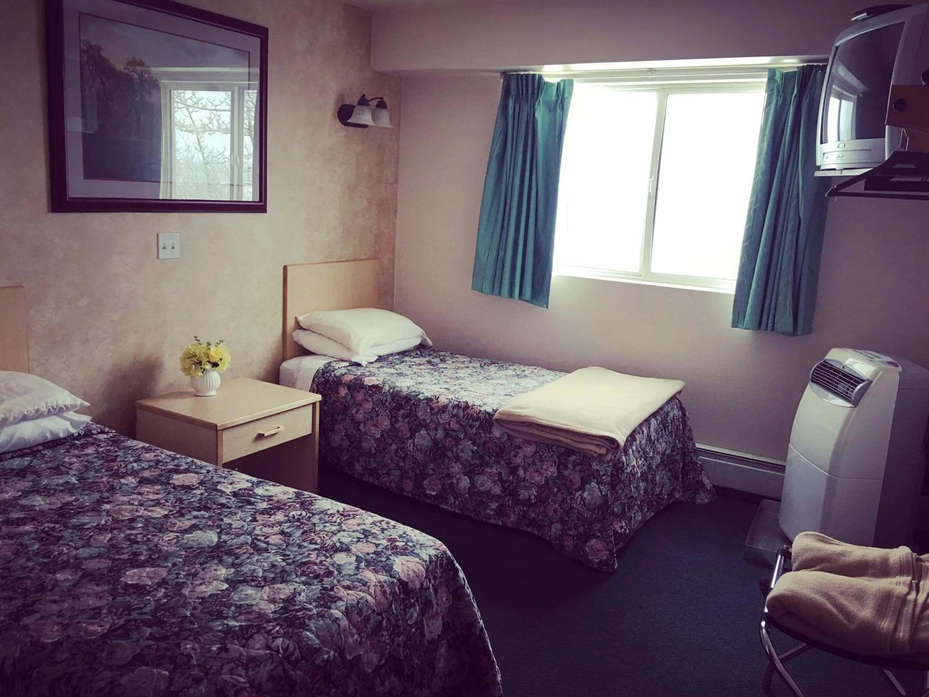 Bed in Windbreak Cafe