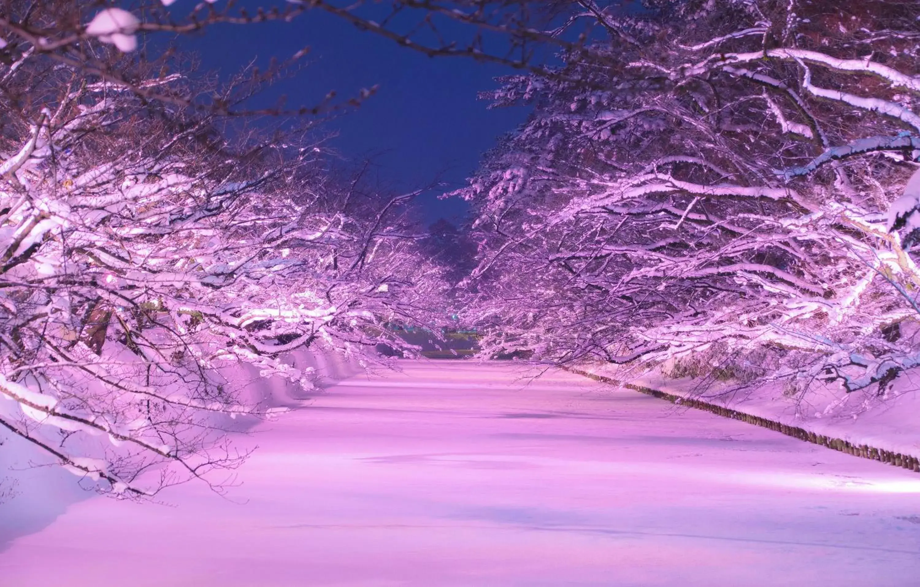 Natural landscape, Winter in Hirosaki Park Hotel