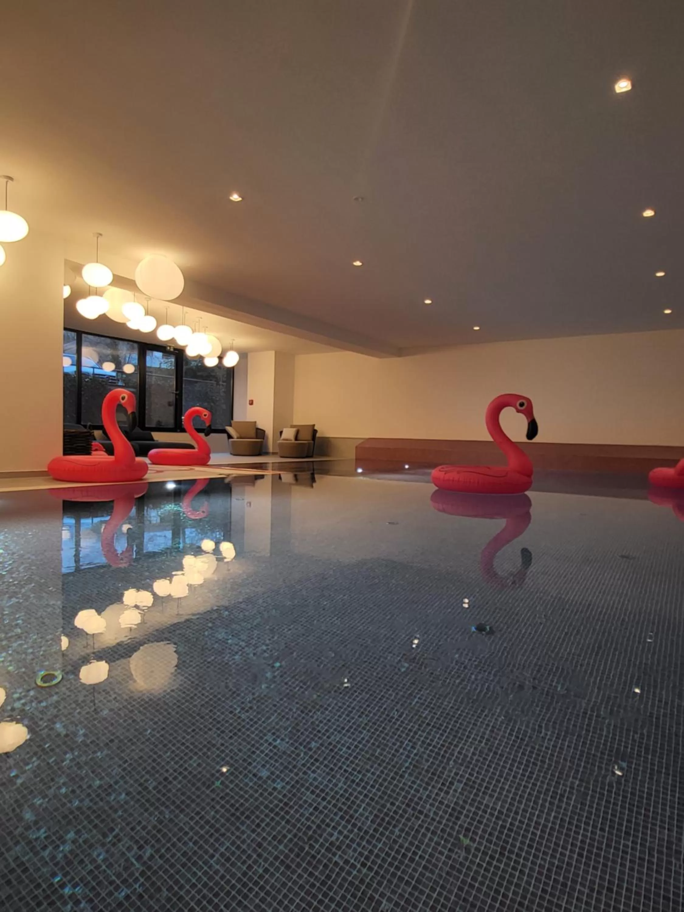 Swimming pool in The Flamingo