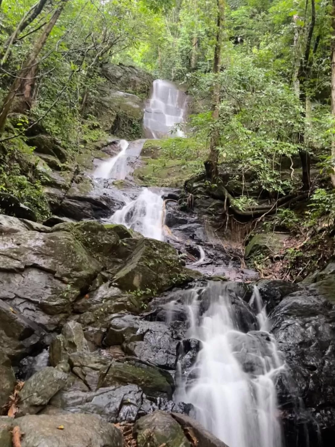 Khaosok Rainforest Resort