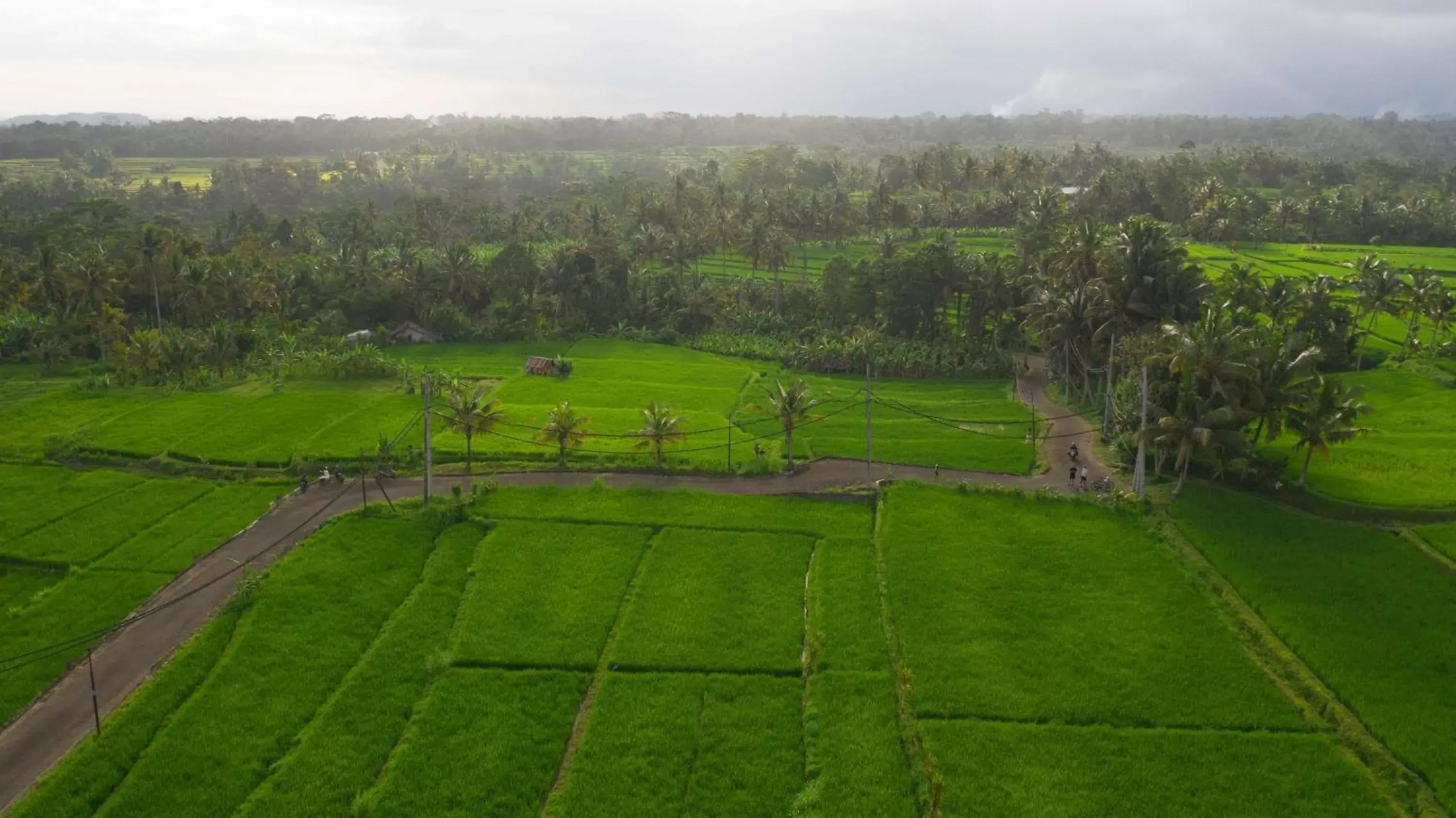 Location in Alila Ubud