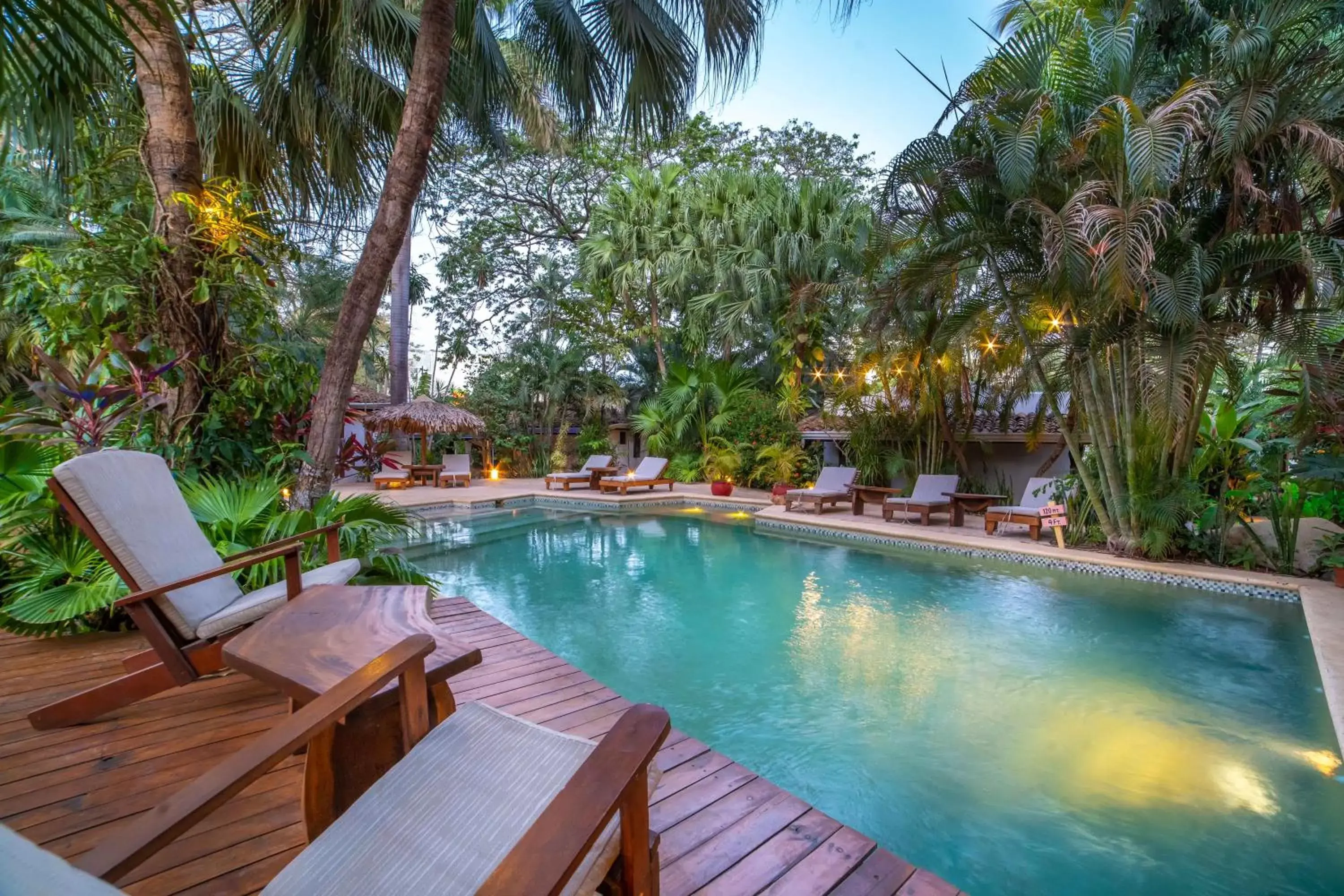 Garden, Swimming Pool in Hotel Pasatiempo