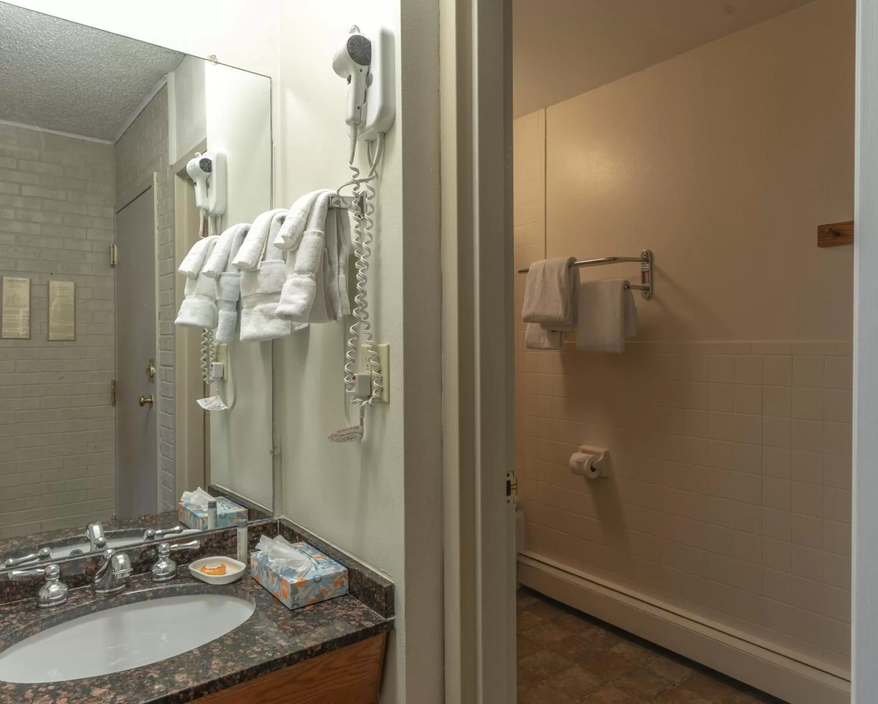 Shower, Bathroom in Mountain Chalet Snowmass