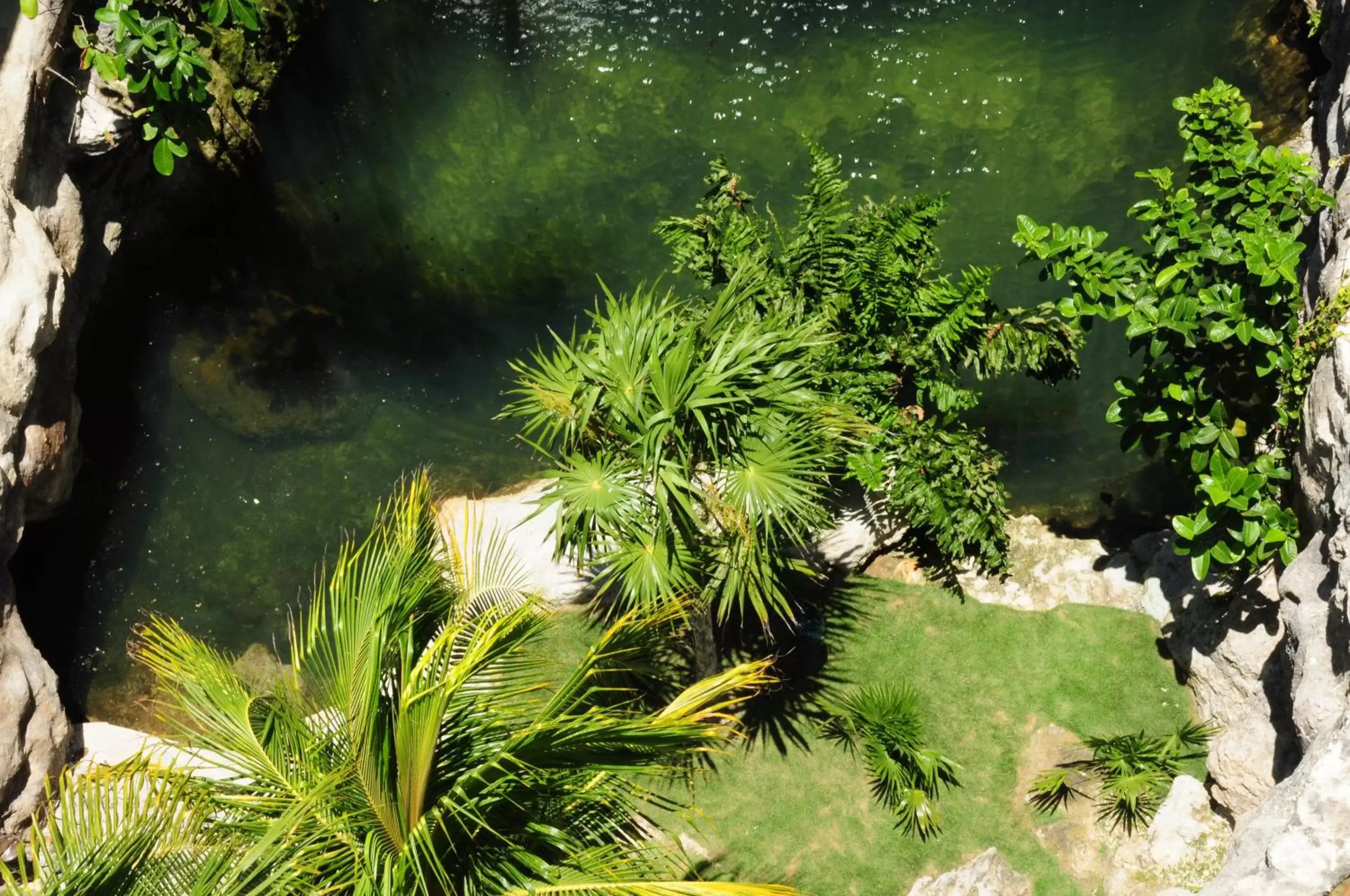 Natural landscape, Garden in Hotel Posada Sian Kaan