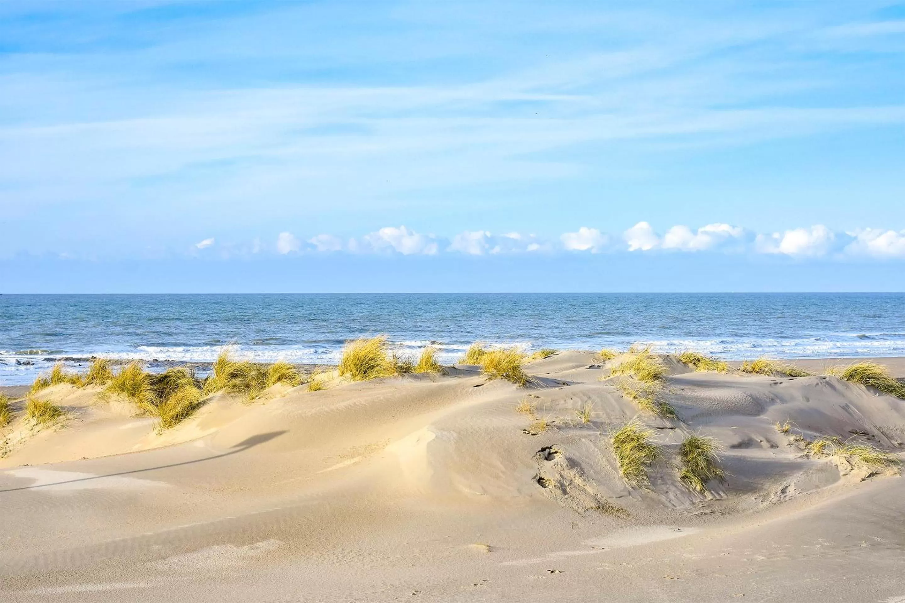 Spring in Holiday Suites Westende - Middelkerke