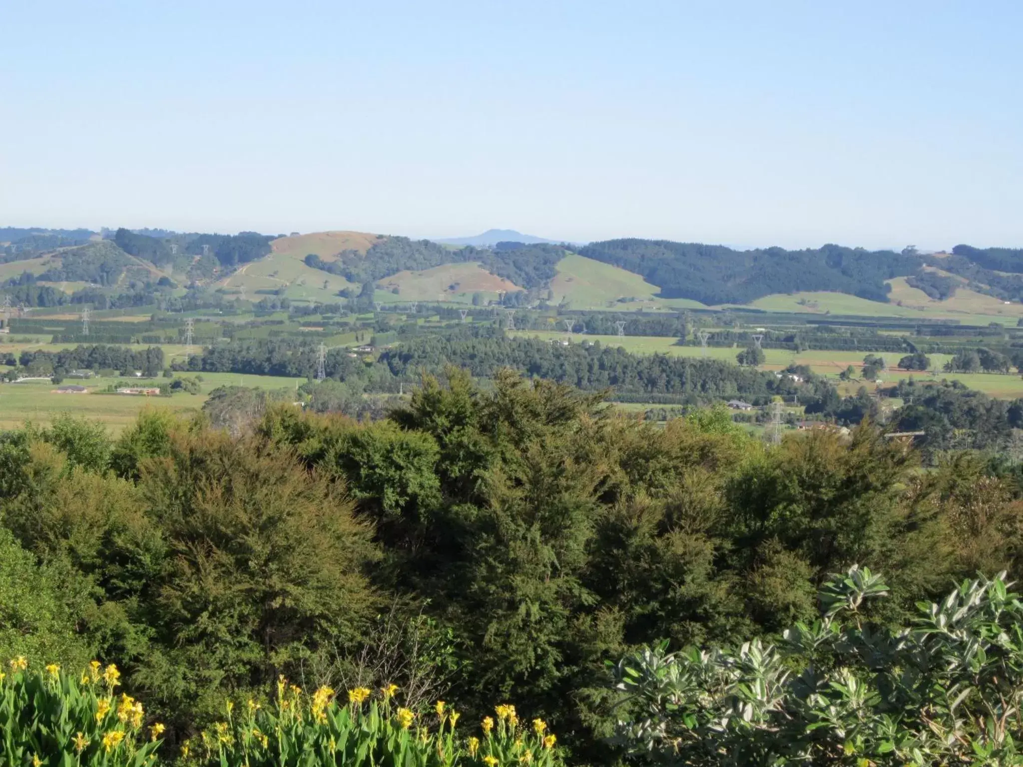 Day in Auckland Country Cottages