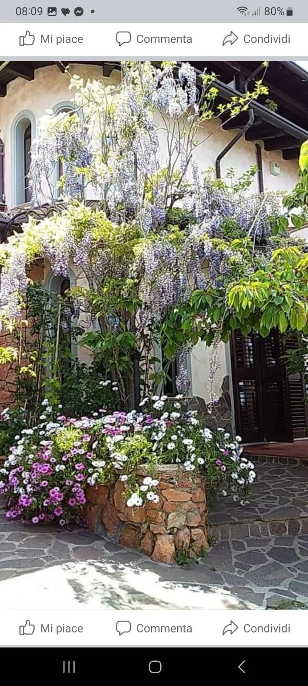 Spring in Monti e Mare