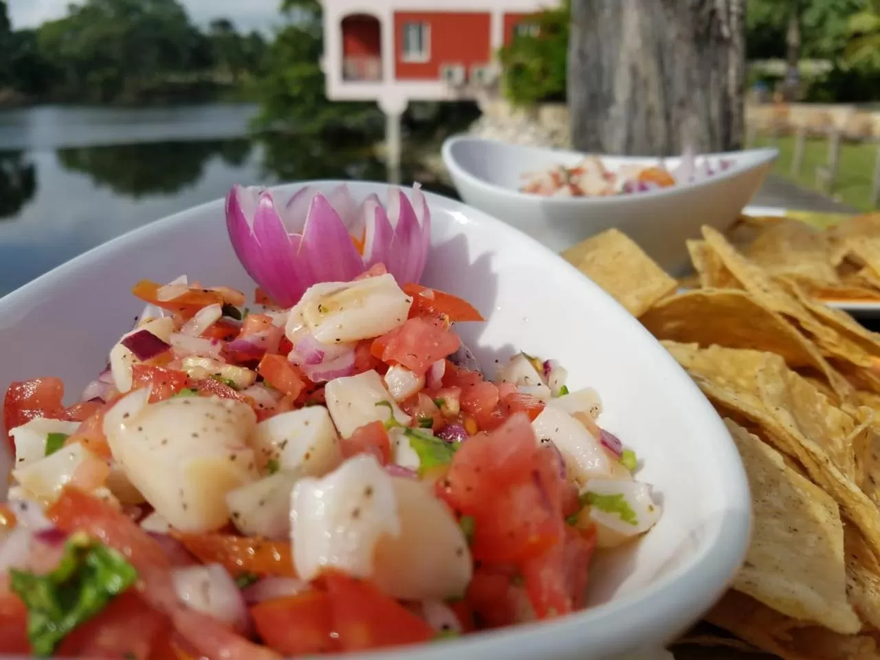 Dining area in Lamanai Hotel & Marina