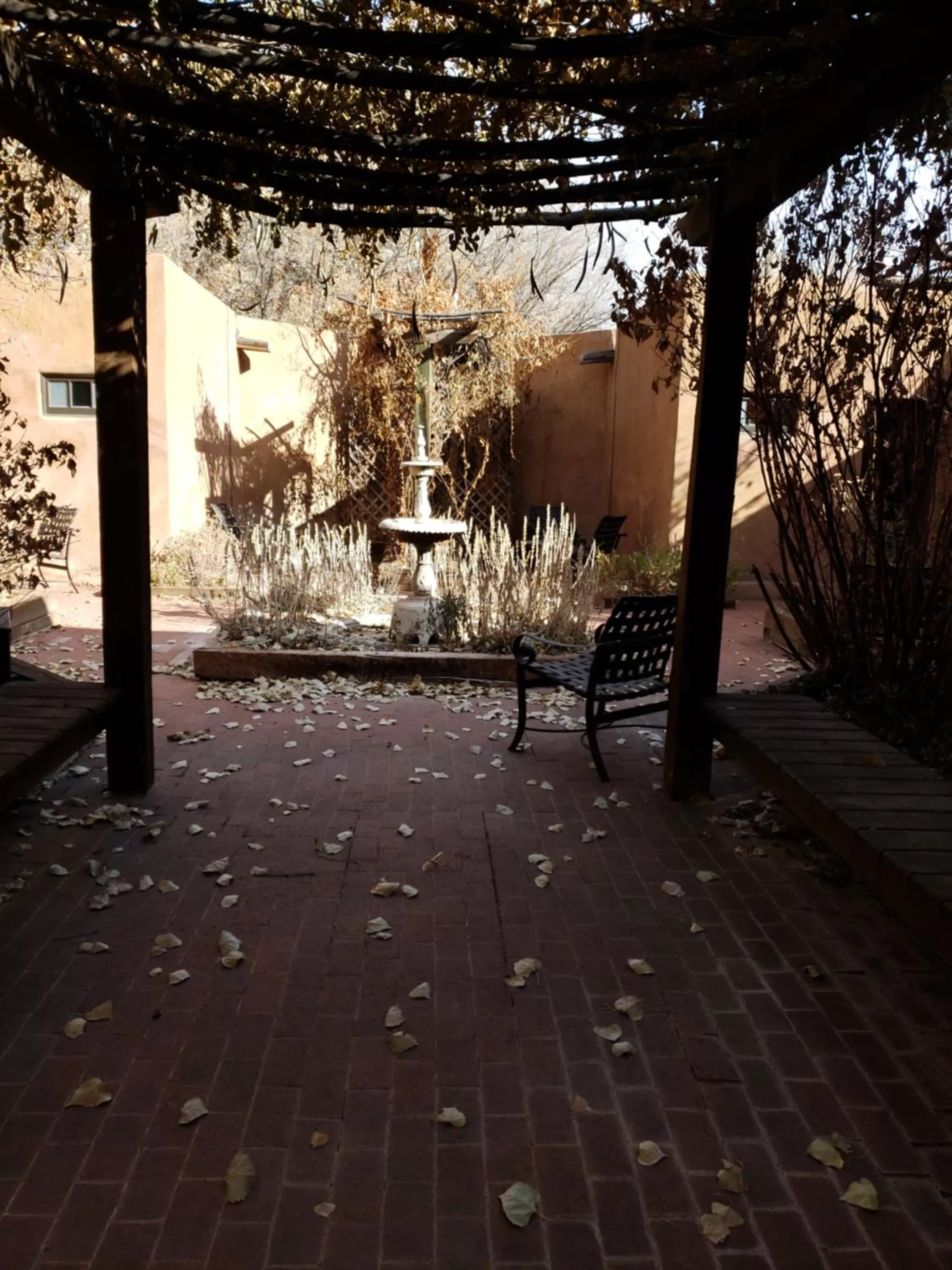 Garden in Abiquiu Inn