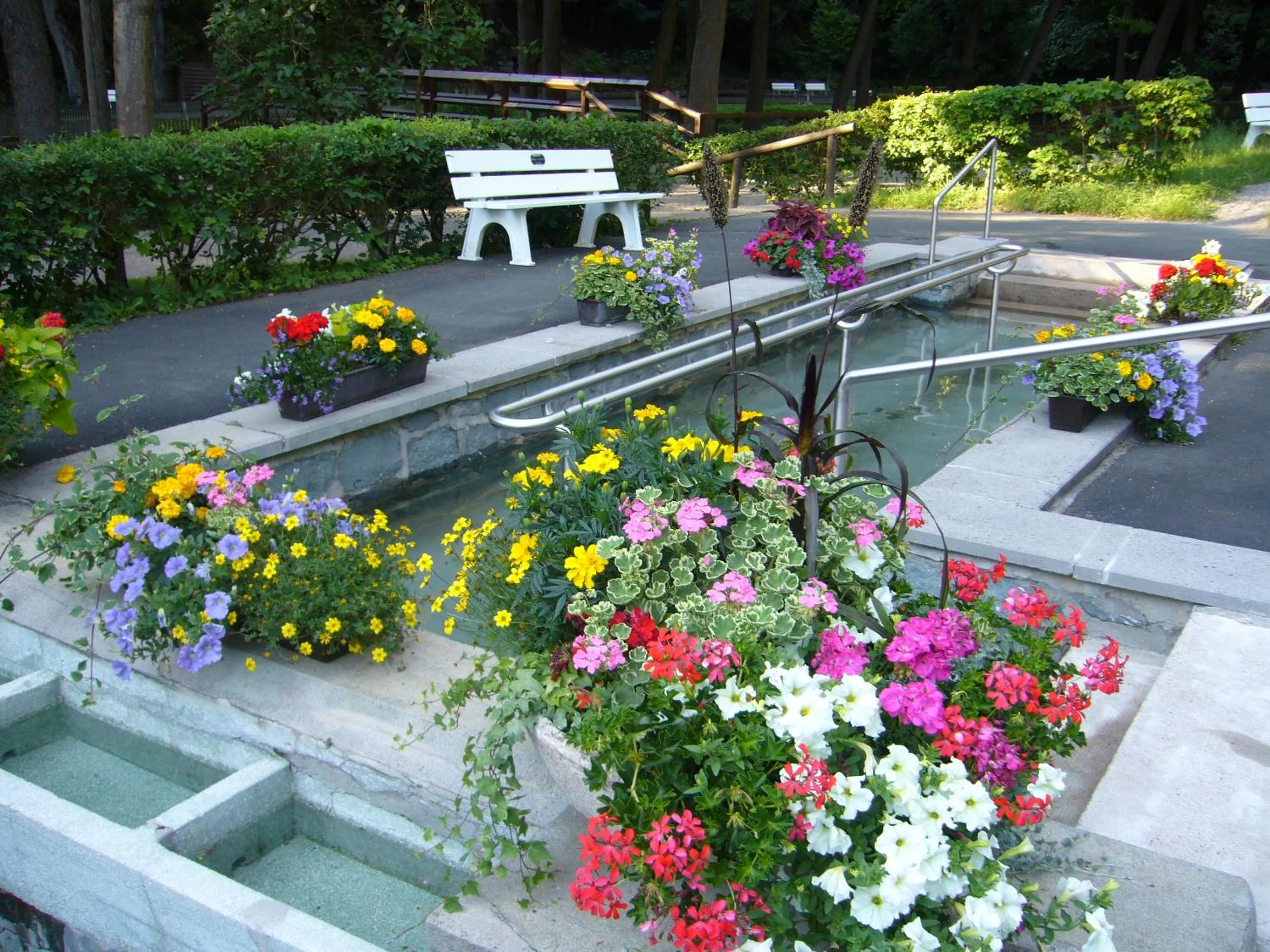 Garden in Hotel Heissinger