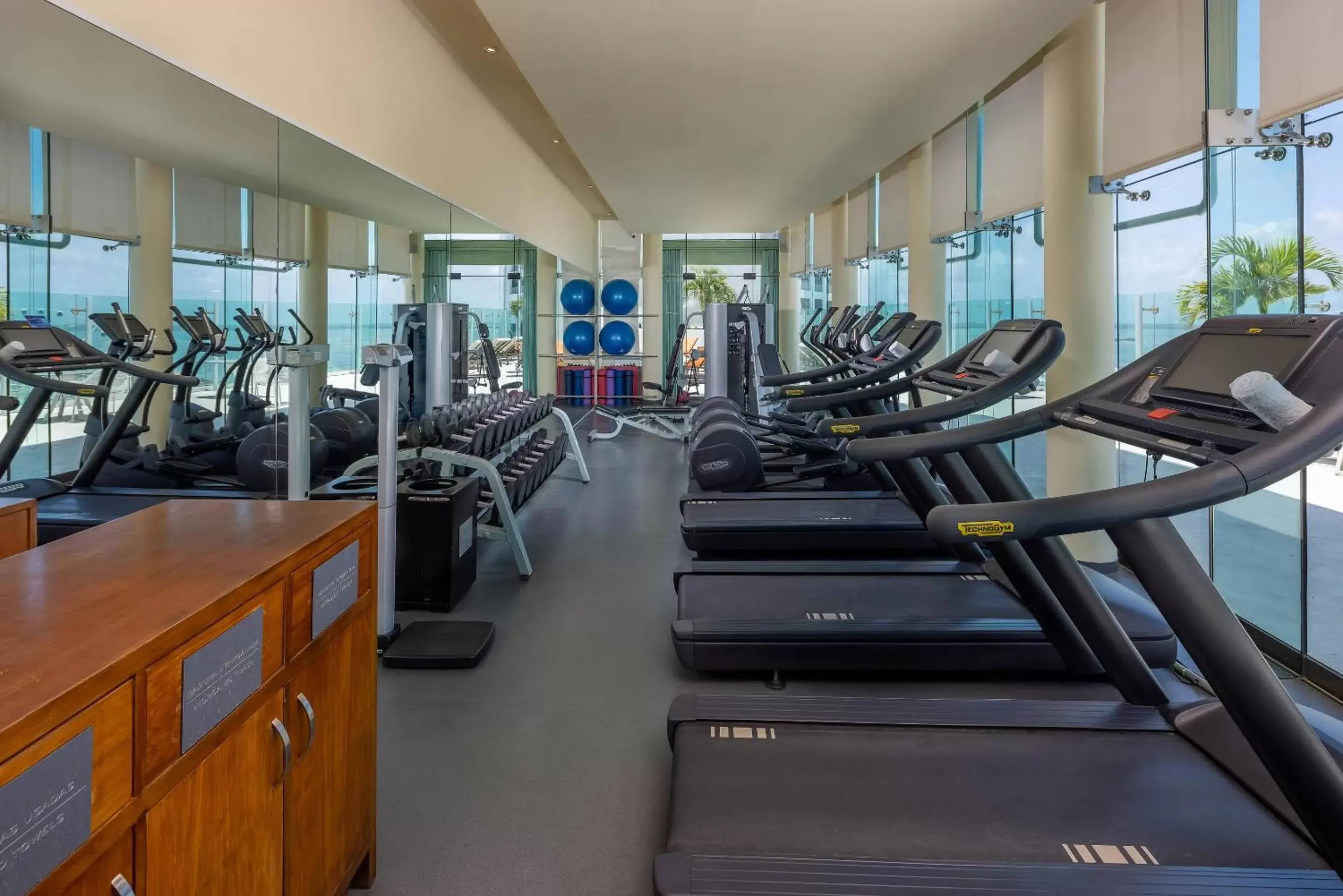 Spa and wellness centre/facilities, Fitness Center/Facilities in Beach Palace - All Inclusive