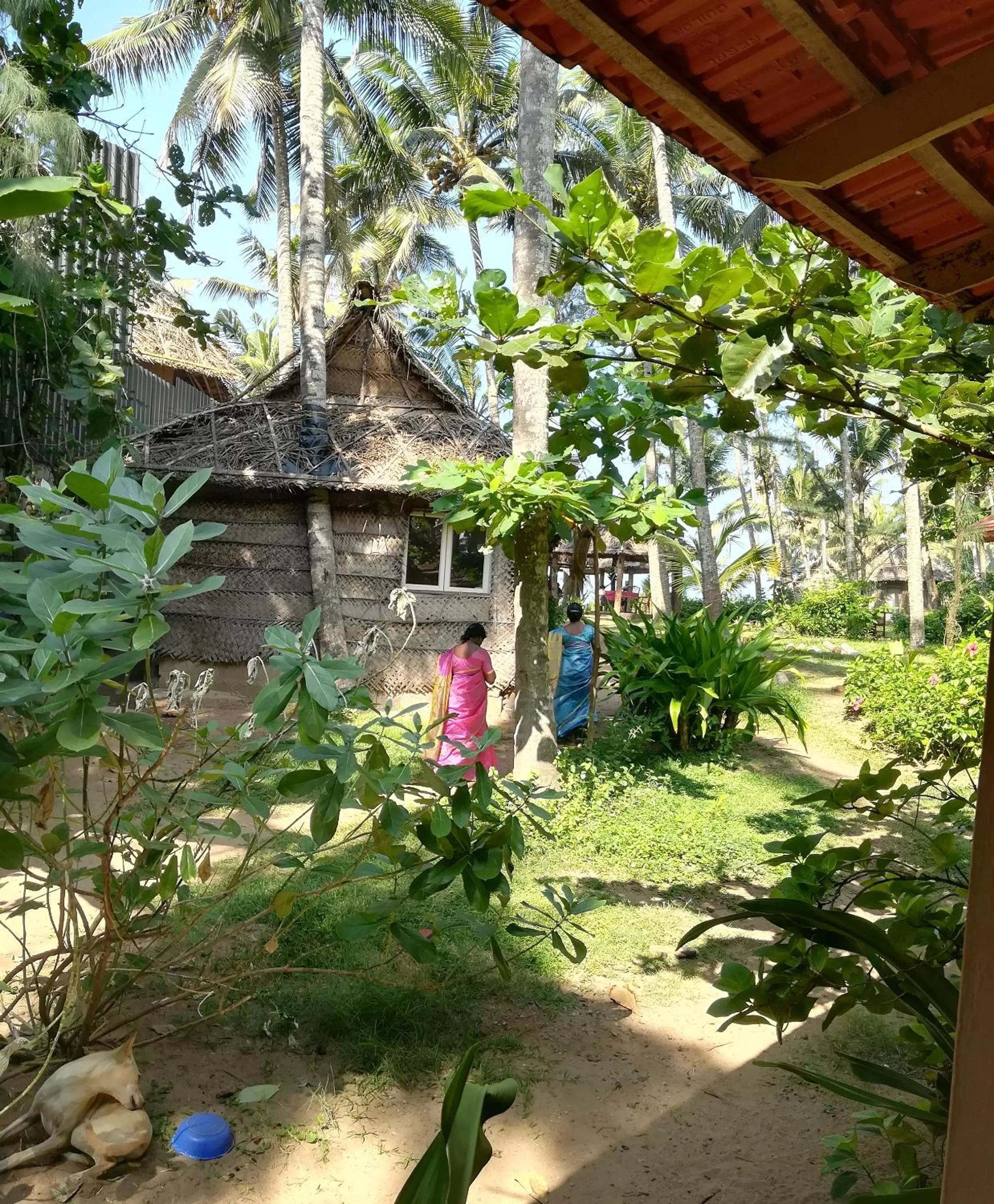 Garden in Sukriti beach Resort