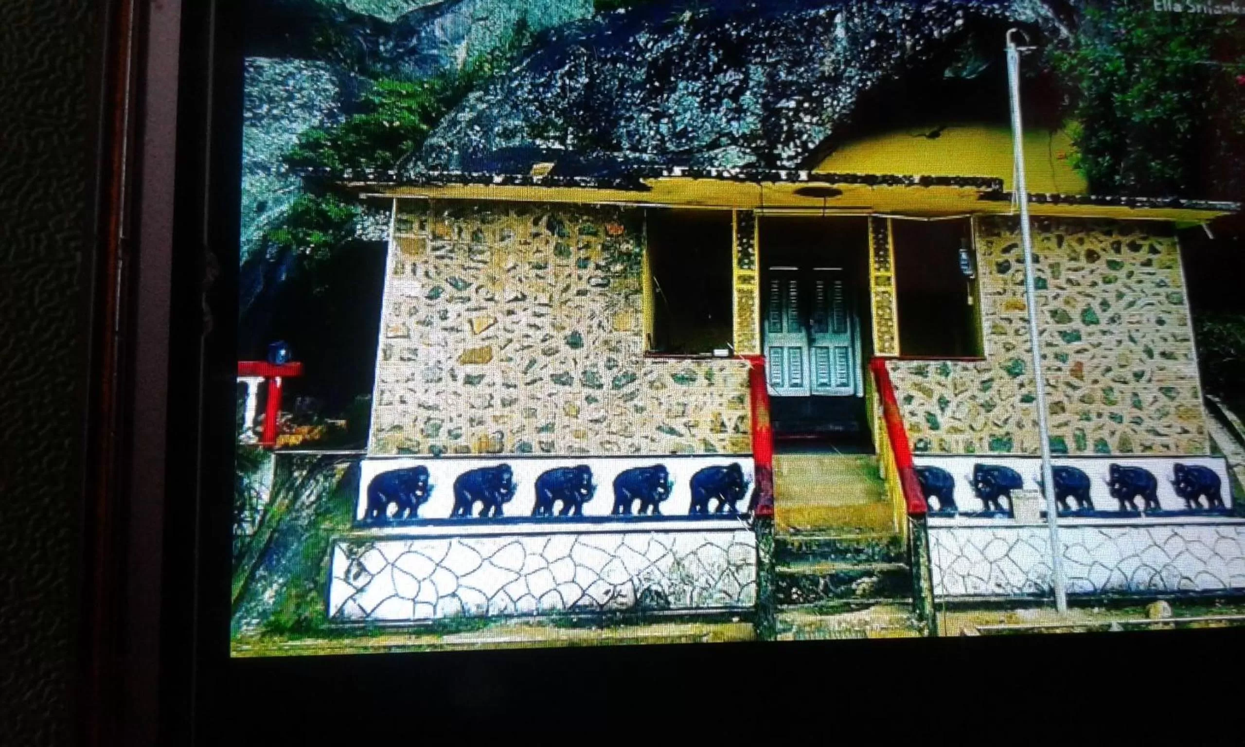 Ella Lucky Panoramic