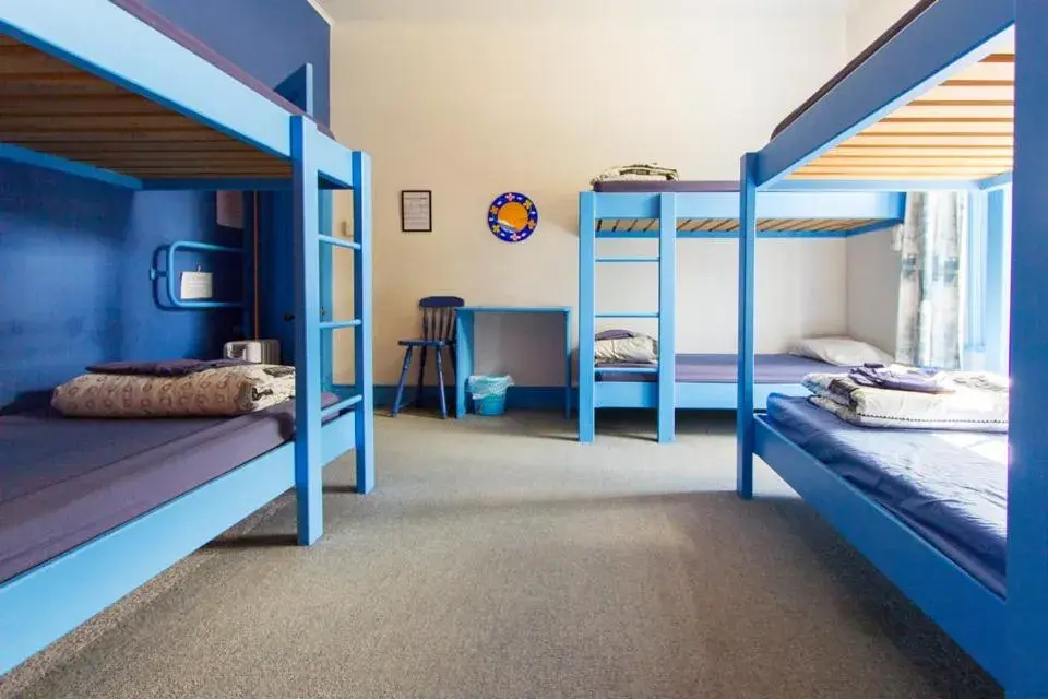 Bunk Bed in Sequoia Lodge Backpackers