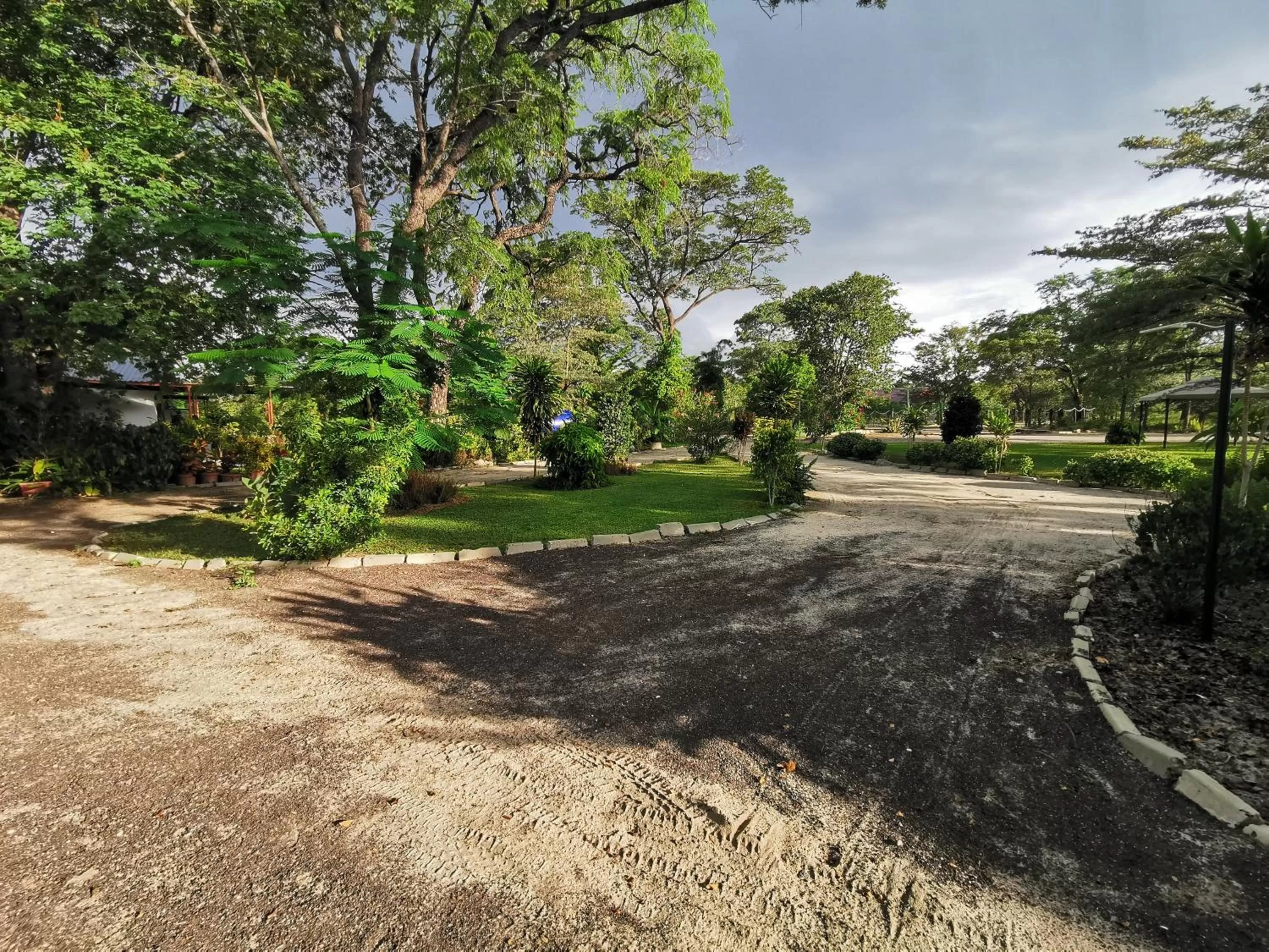 Garden in Happy Forest B&B